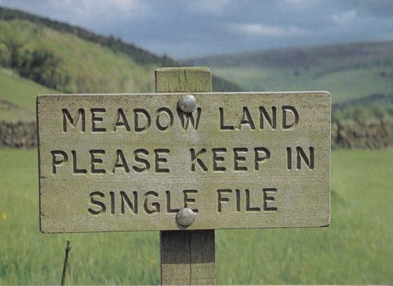 Yorkshire Dales Upper Swalesdale Keep In Single File Funny Signpost Postcard