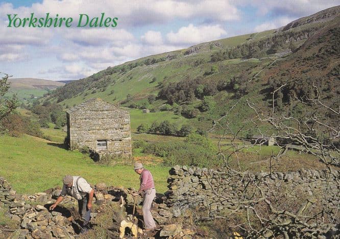 Yorkshire Workers Farming Digging Renovating Farm Wall Postcard
