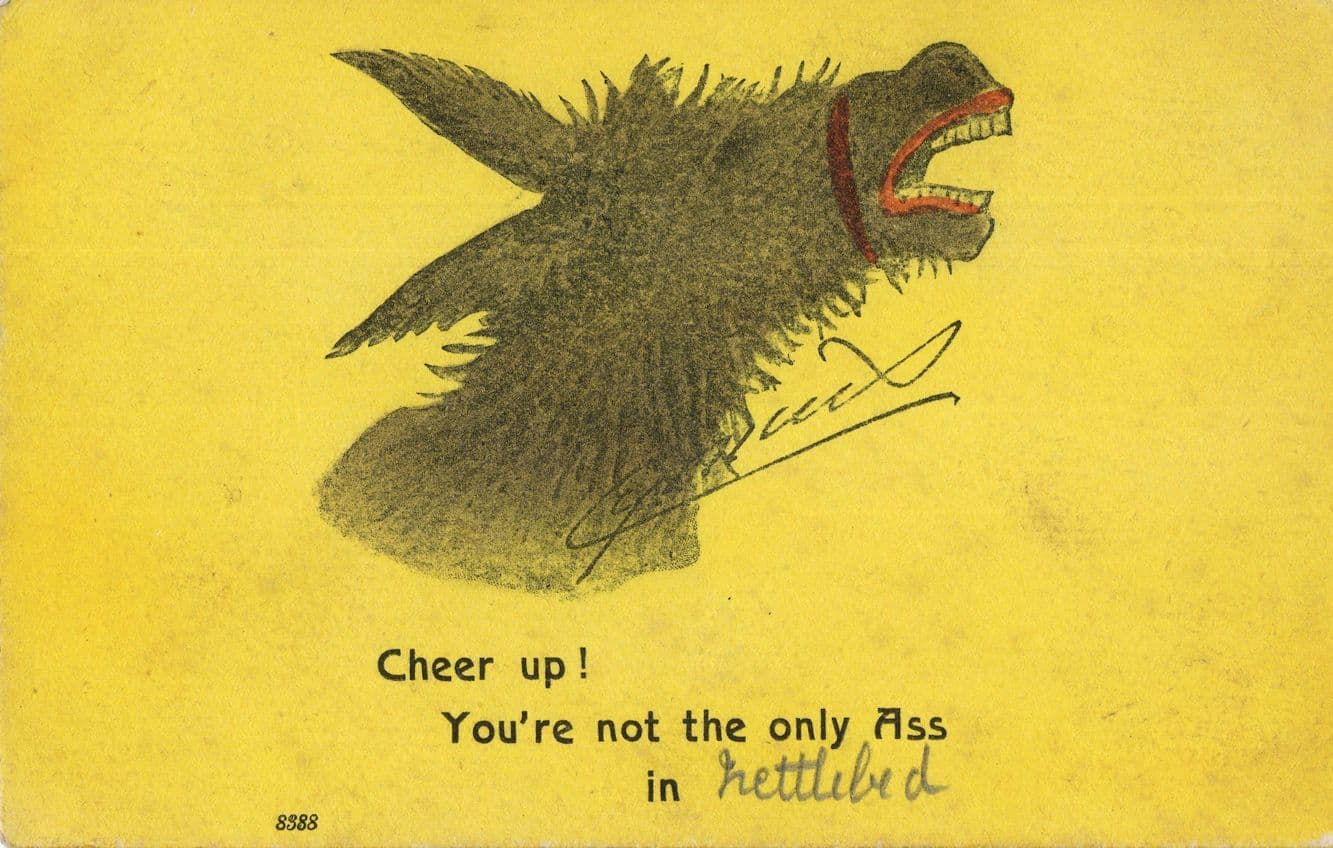 You're Mpt The Only Ass Antique Donkey Comic Postcard