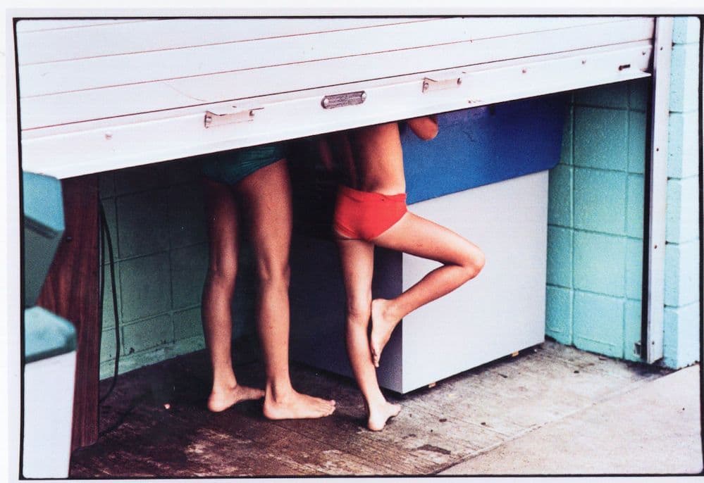 Young Limbs Harveys Lake Pennsylvania Mark Cohen Photo Award Postcard