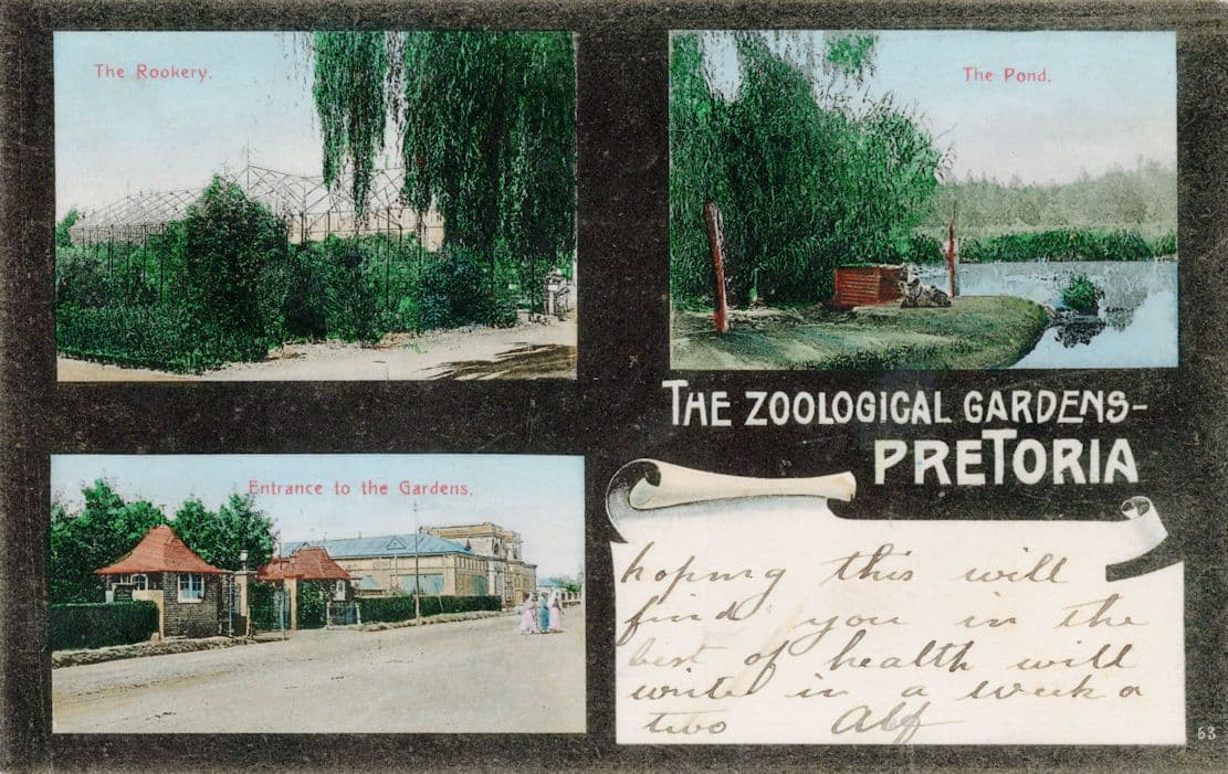 Zoological Gardens Pretoria South Africa Old Greetings Postcard