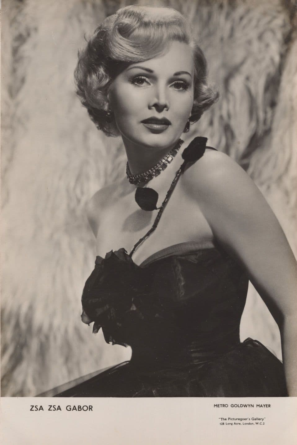 Zsa Zsa Gabor Picturegoer's MGM Film Gallery 9x6 Rare Photo