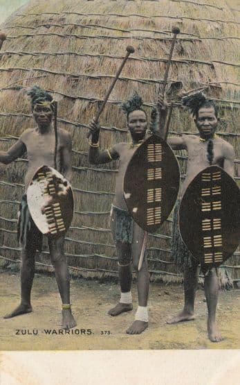 Zulu Warriors Shield Cape Town Camera Series Old African Postcard