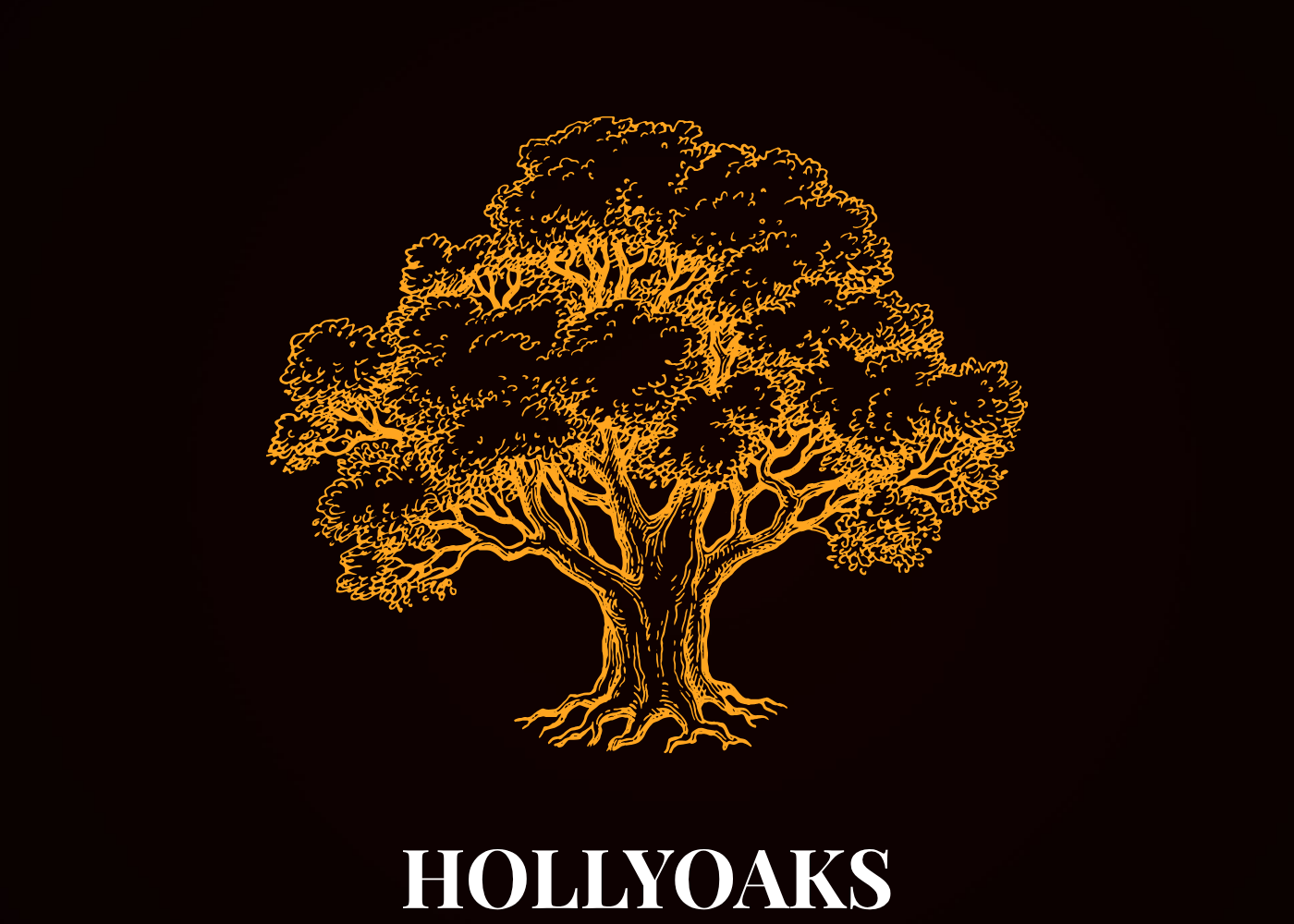 Hollyoaks