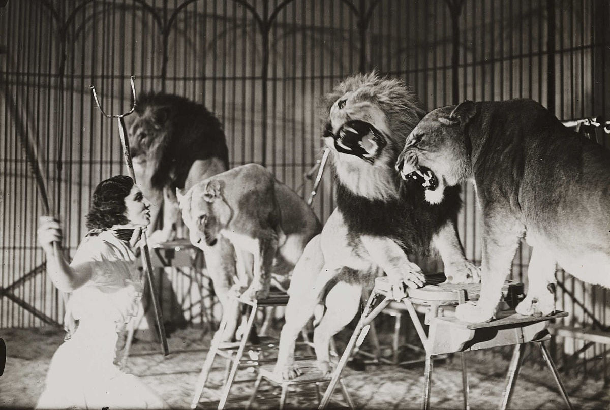 Circus