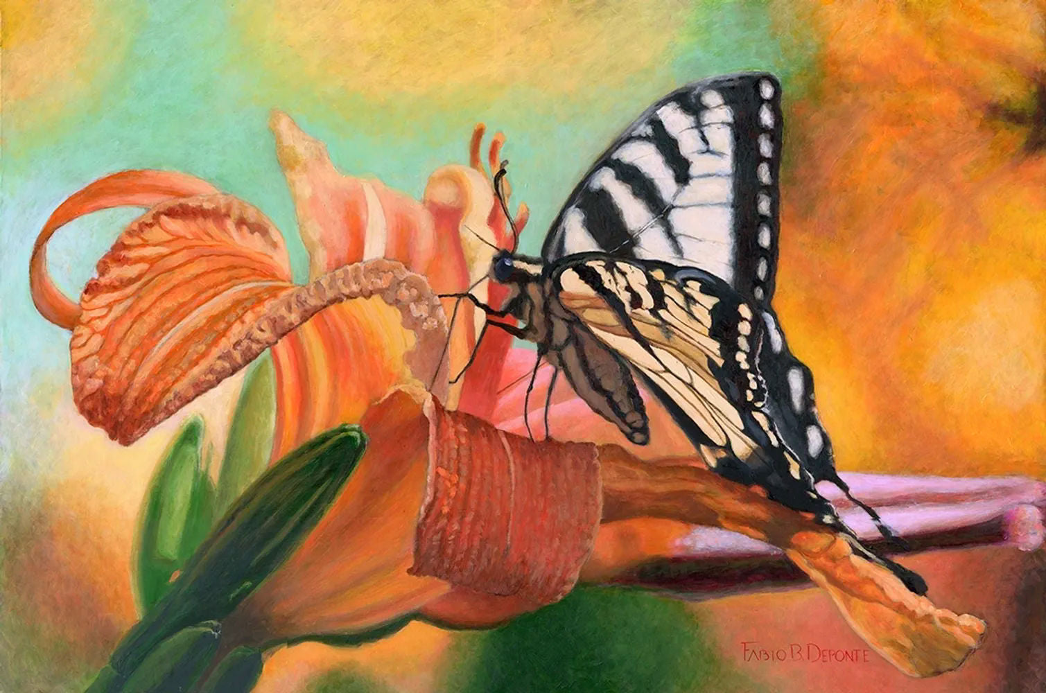 Insect Postcards