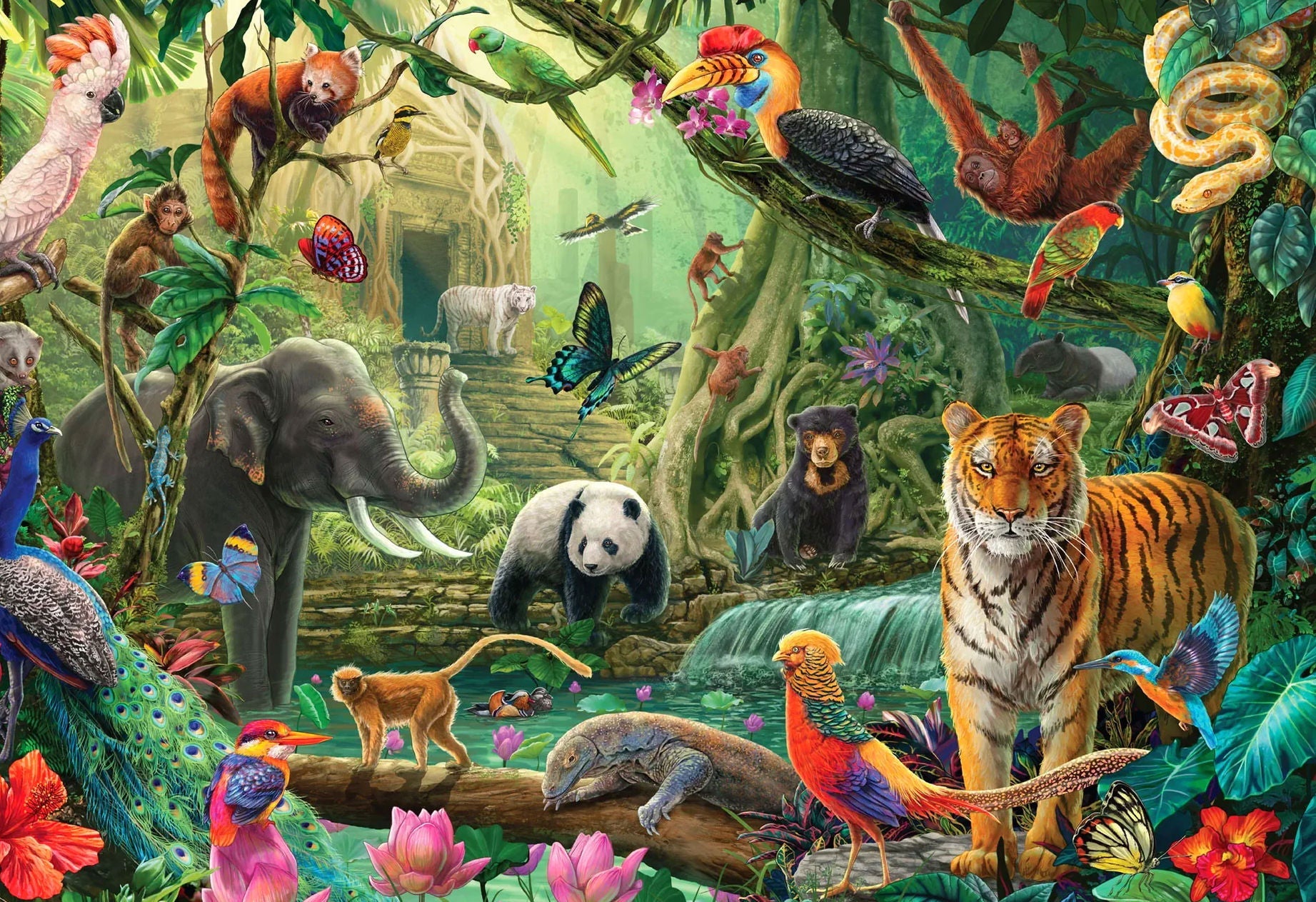 Animals