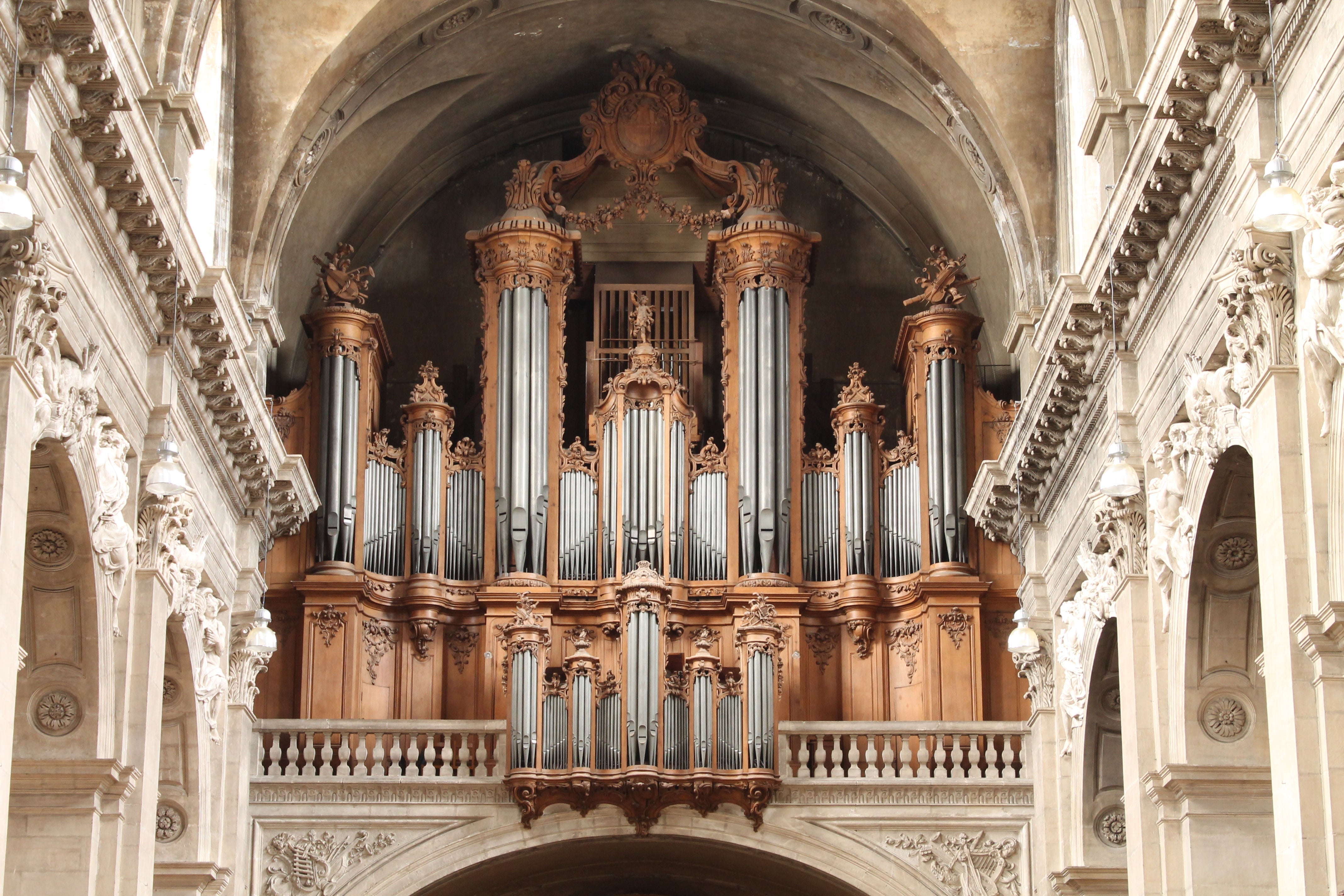 Organs