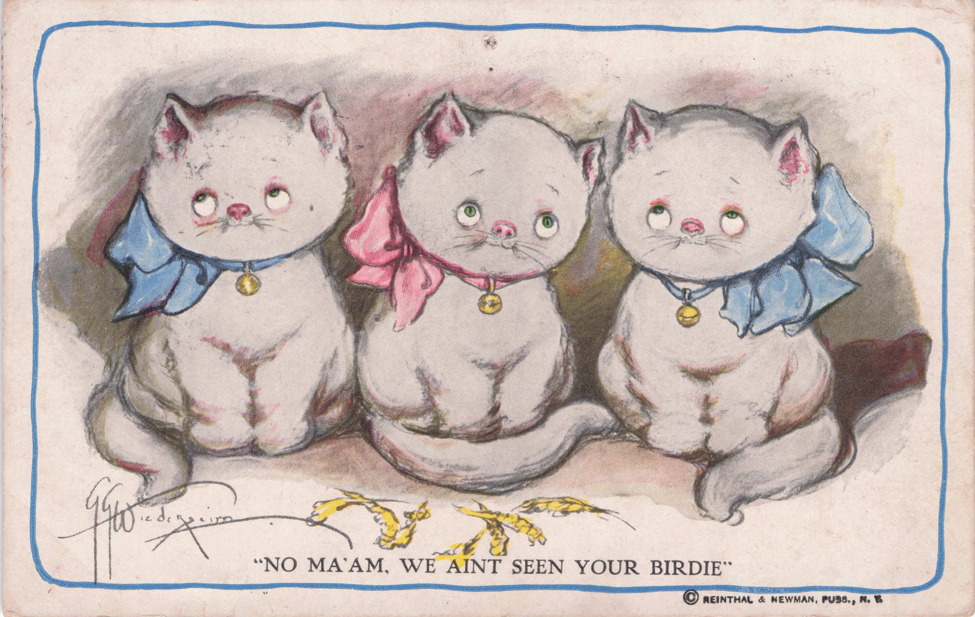 No Maam We Aint Seen Your Birdie Kittens Birds Antique Cute Comic Postcard
