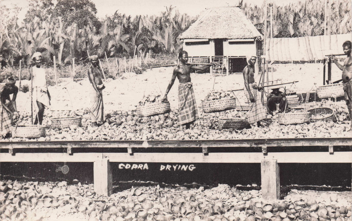 Malaya Women Copra Coconut Drying Antique Malaysia Real Photo Postcard