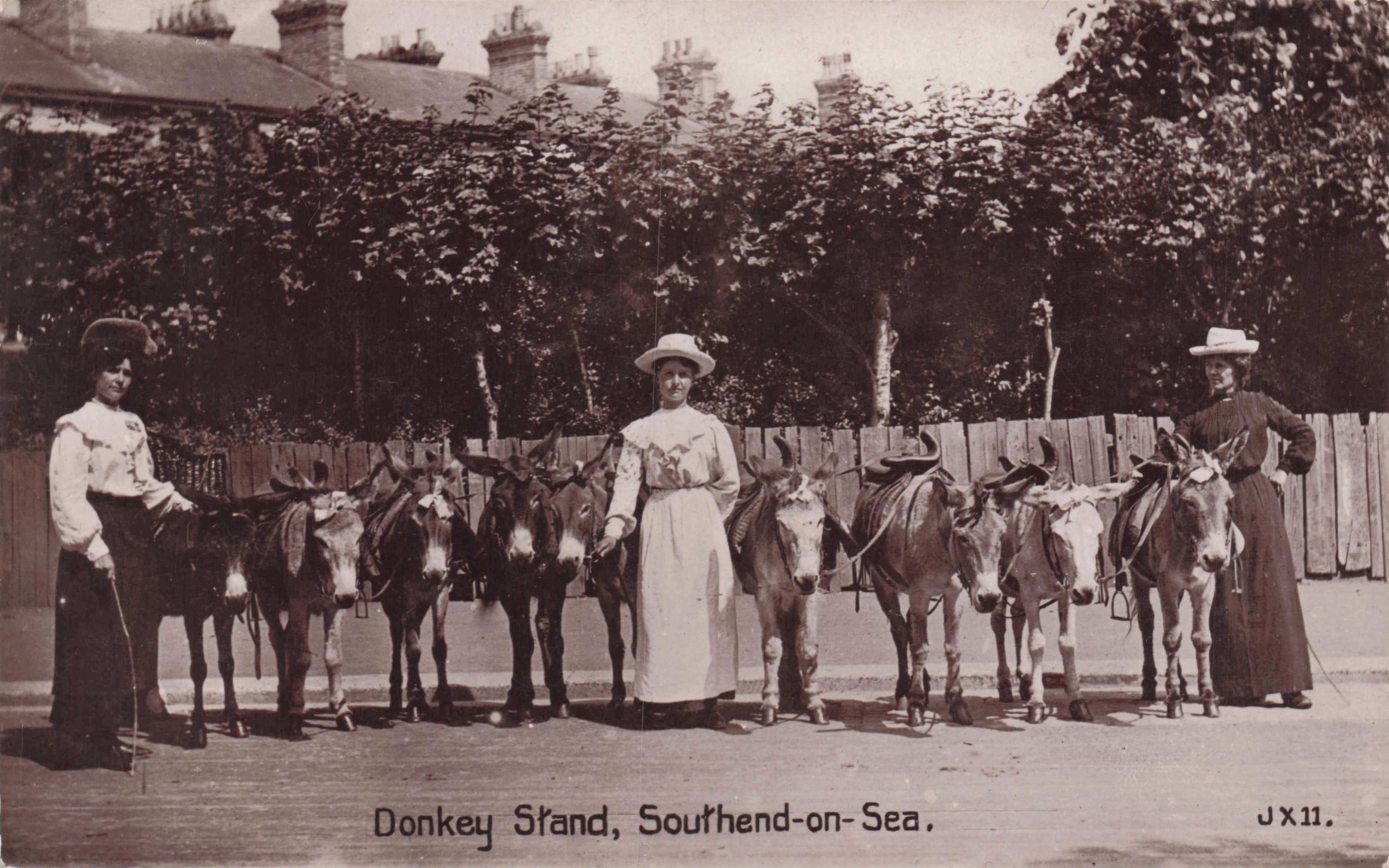 Posh Ladies by Pony Donkey Stand Southend On Sea Essex Old Real Photo Postcard