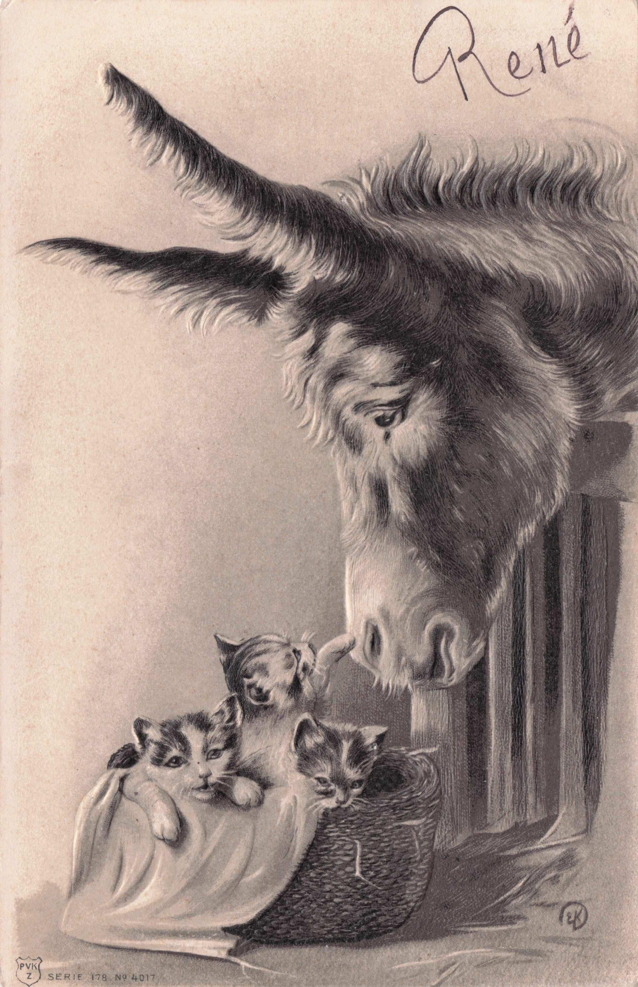 Basket Of Kittens Baby Cats Playing Donkeys Nose Belgium 3D Style Old Postcard