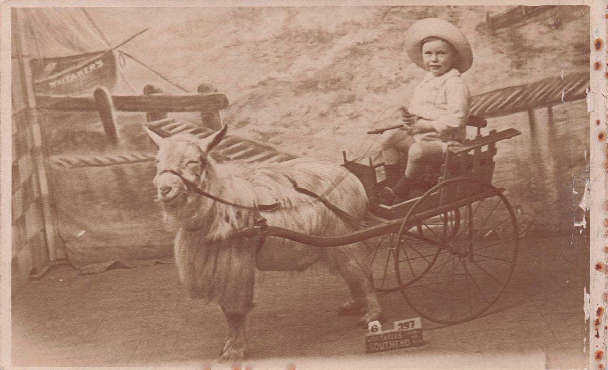Zany Baby Childrens Goat Ride Transport Southend On Sea Essex RPC Postcard