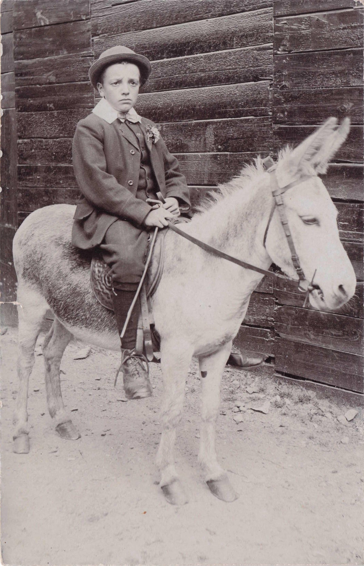 Edwardian Grumpy Boy In Designer Suit on Donkey Ride Old Real Photo Postcard
