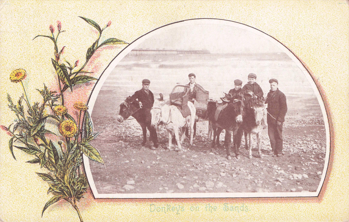 Petal Dust Air Freshner Fragrance Donkeys On The Sand Beach Advertising Postcard