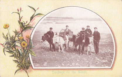 Petal Dust Air Freshner Fragrance Donkeys On The Sand Beach Advertising Postcard