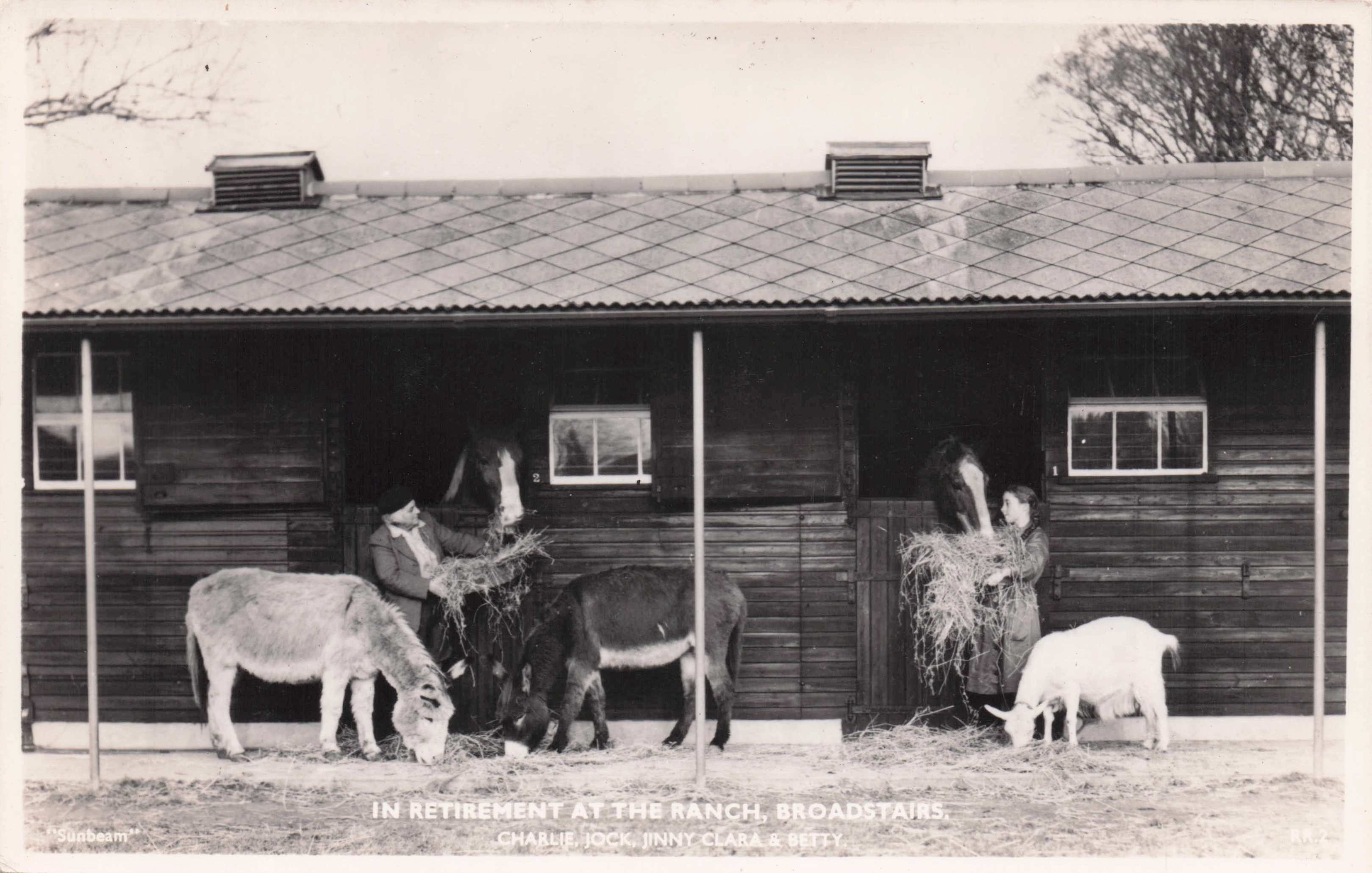 Broadstairs Old Horse Ranch Kent Charlie Jock Owner Farm Real Photo Postcard