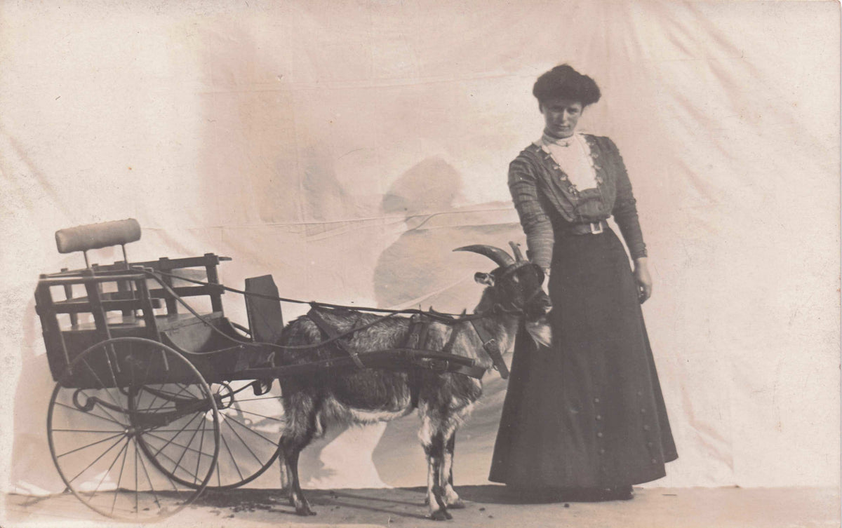 Posh Lady With Fancy Dress Goat Old Horse Cart Transport Real Photo Postcard