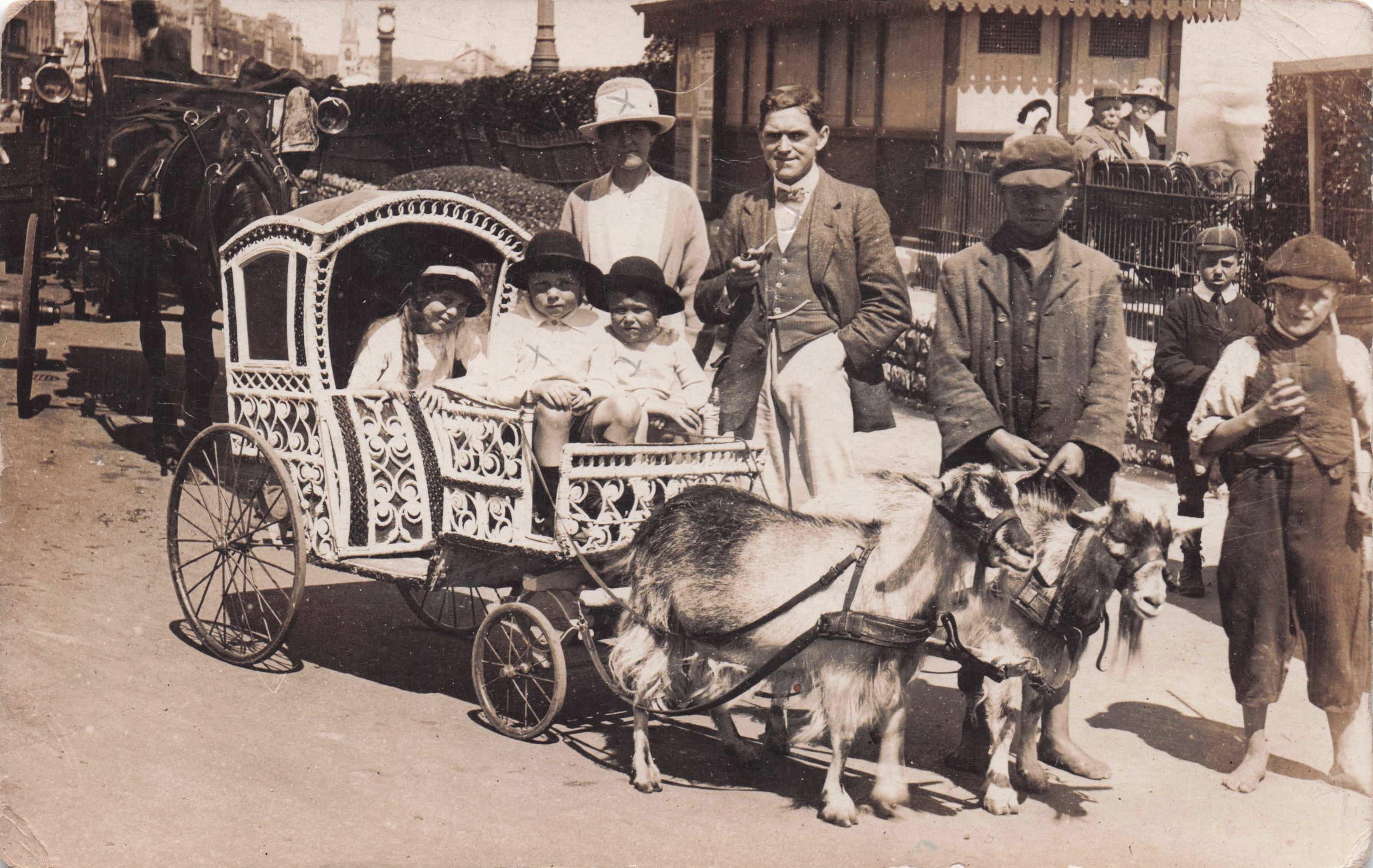 Wild Romany Cart Goat Driven Transport Trip Real Photo Antique Postcard