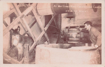A Pony Called Jack Carisbrooke Castle Isle Of Wight TWO Real Photo Old Postcard s