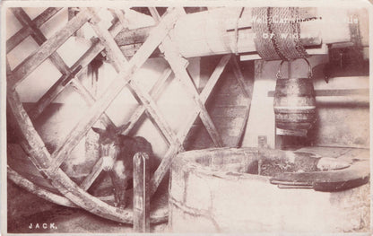 A Pony Called Jack Carisbrooke Castle Isle Of Wight TWO Real Photo Old Postcard s