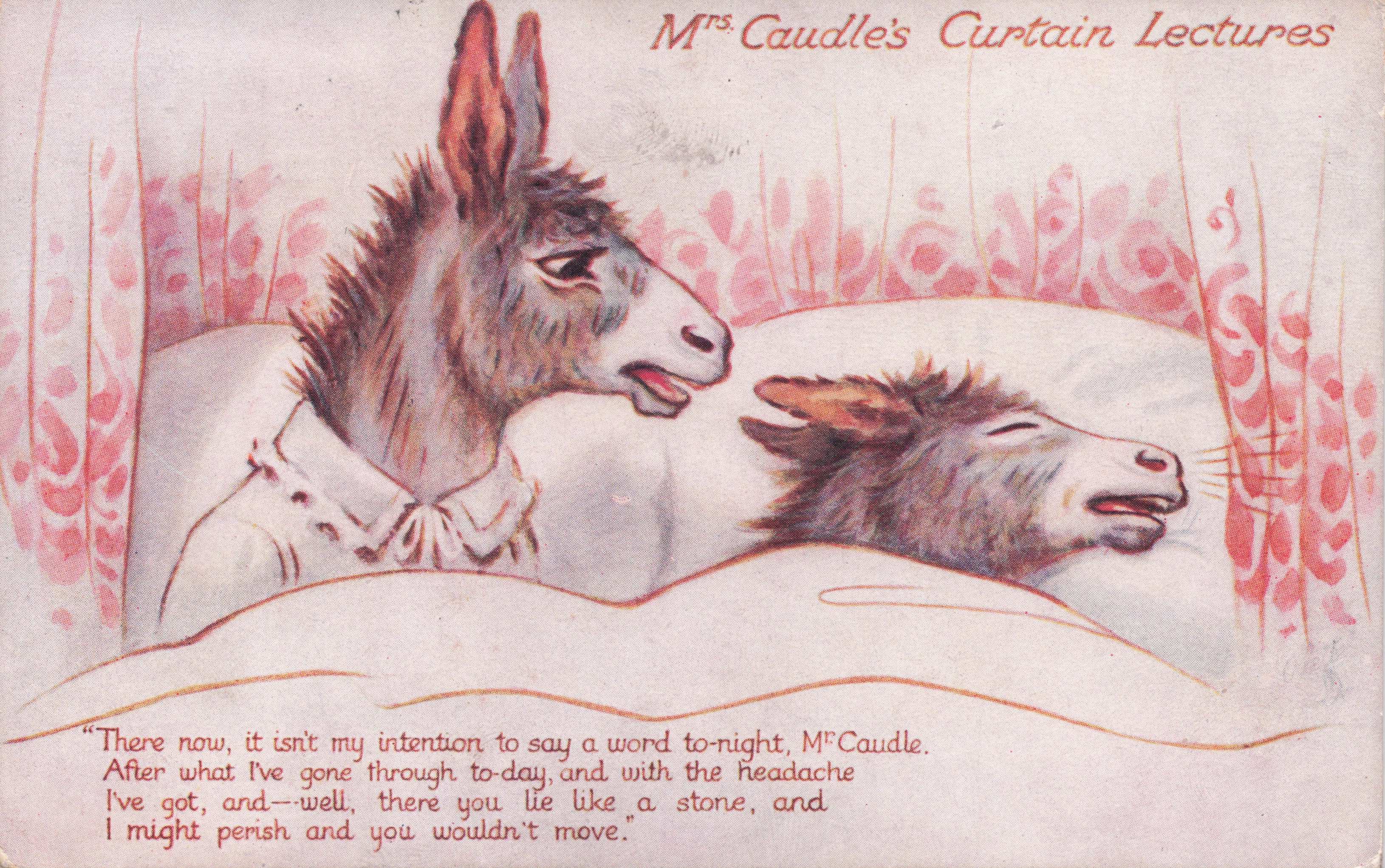 Horse Lady in Bed Has Headache No Sex Antique Animal Comic Postcard