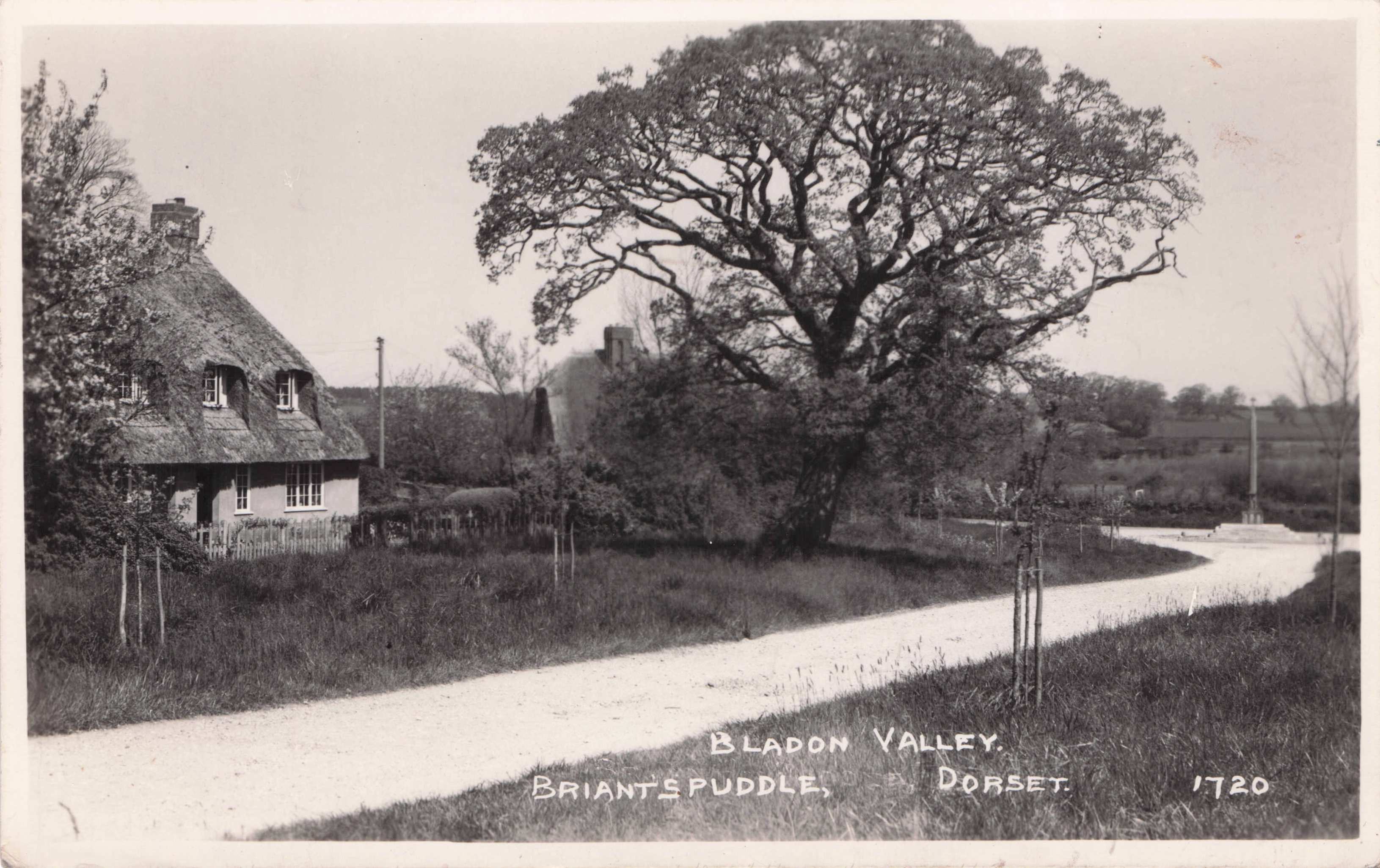 Briants Puddle Bladon Valley Thatched Cottage Dorset Vintage RPC Postcard