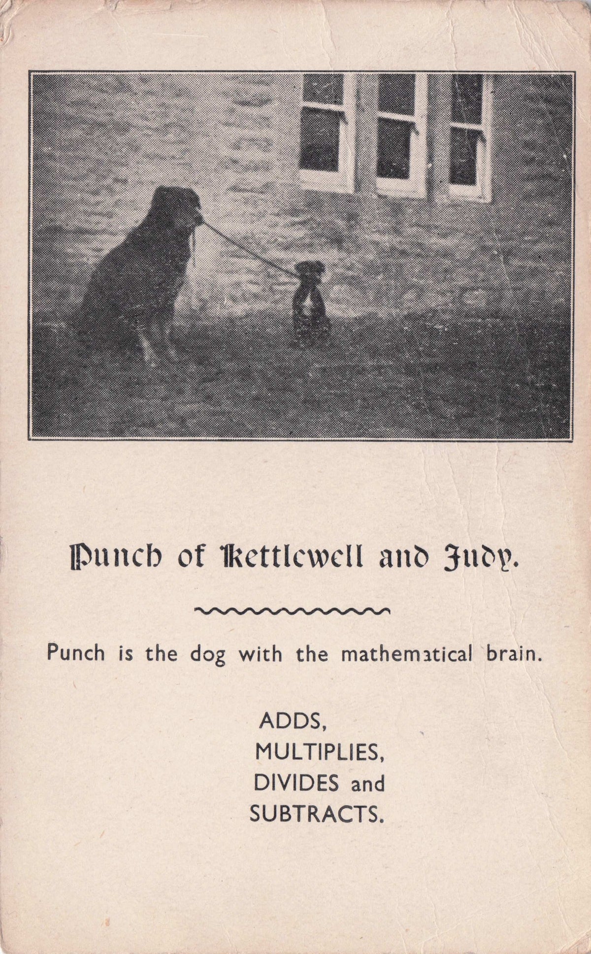Punch & Judy Kettlewell Performing Maths Theatre Dog Old PB Yorkshire Postcard