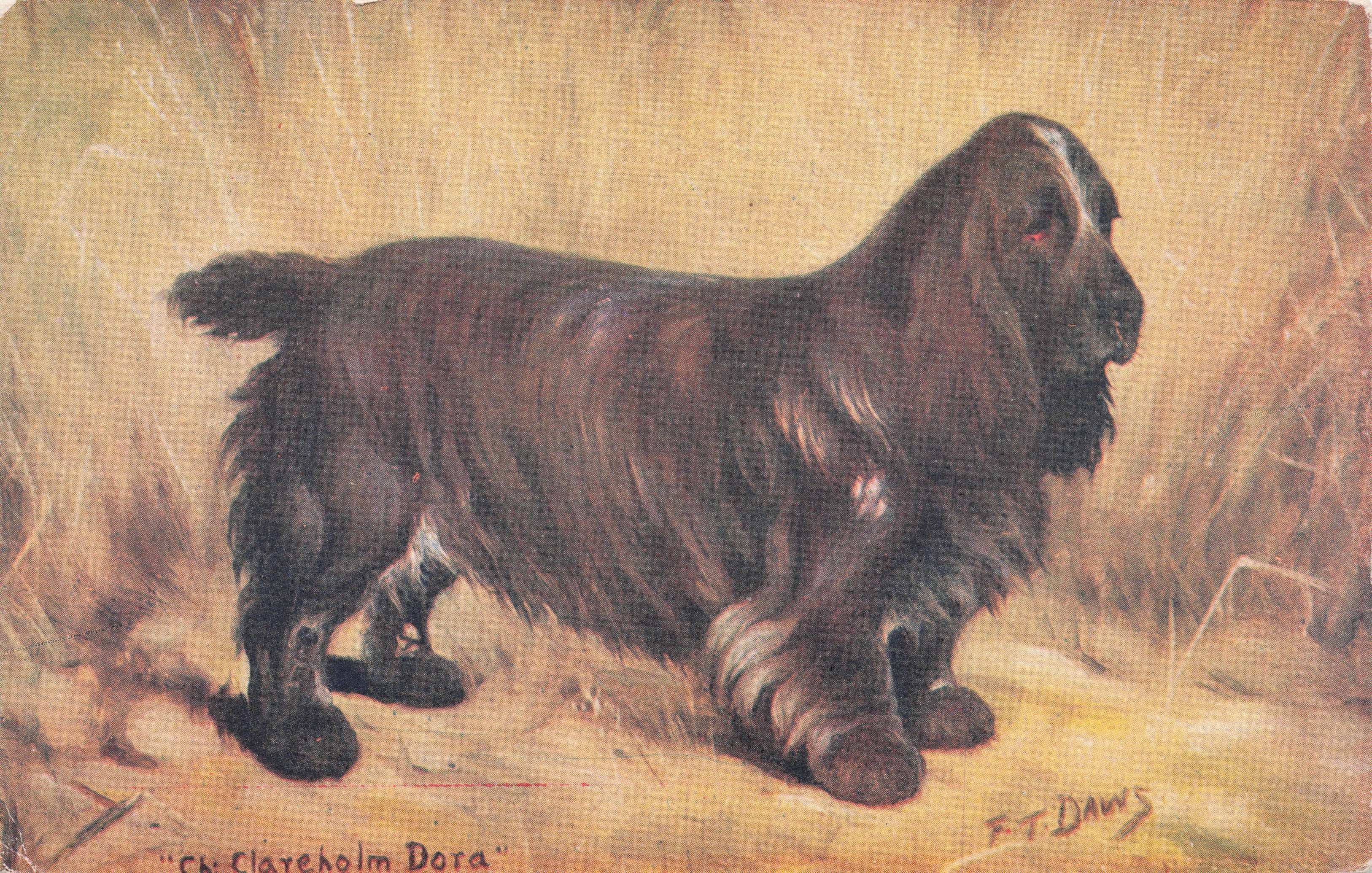 Field Terrier Spratts Food Old Champion Dog Breeding Antique Postcard
