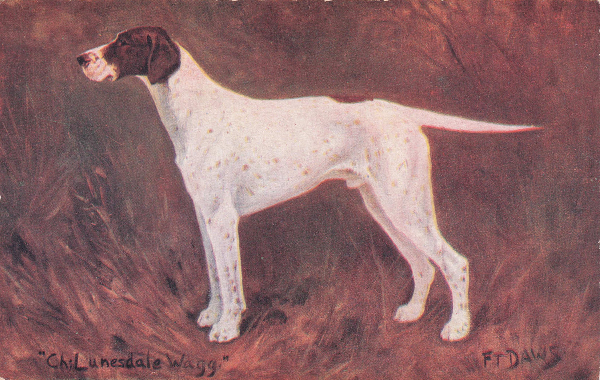 Pointer Spratts Food Old Champion Dog Breeding Antique Postcard
