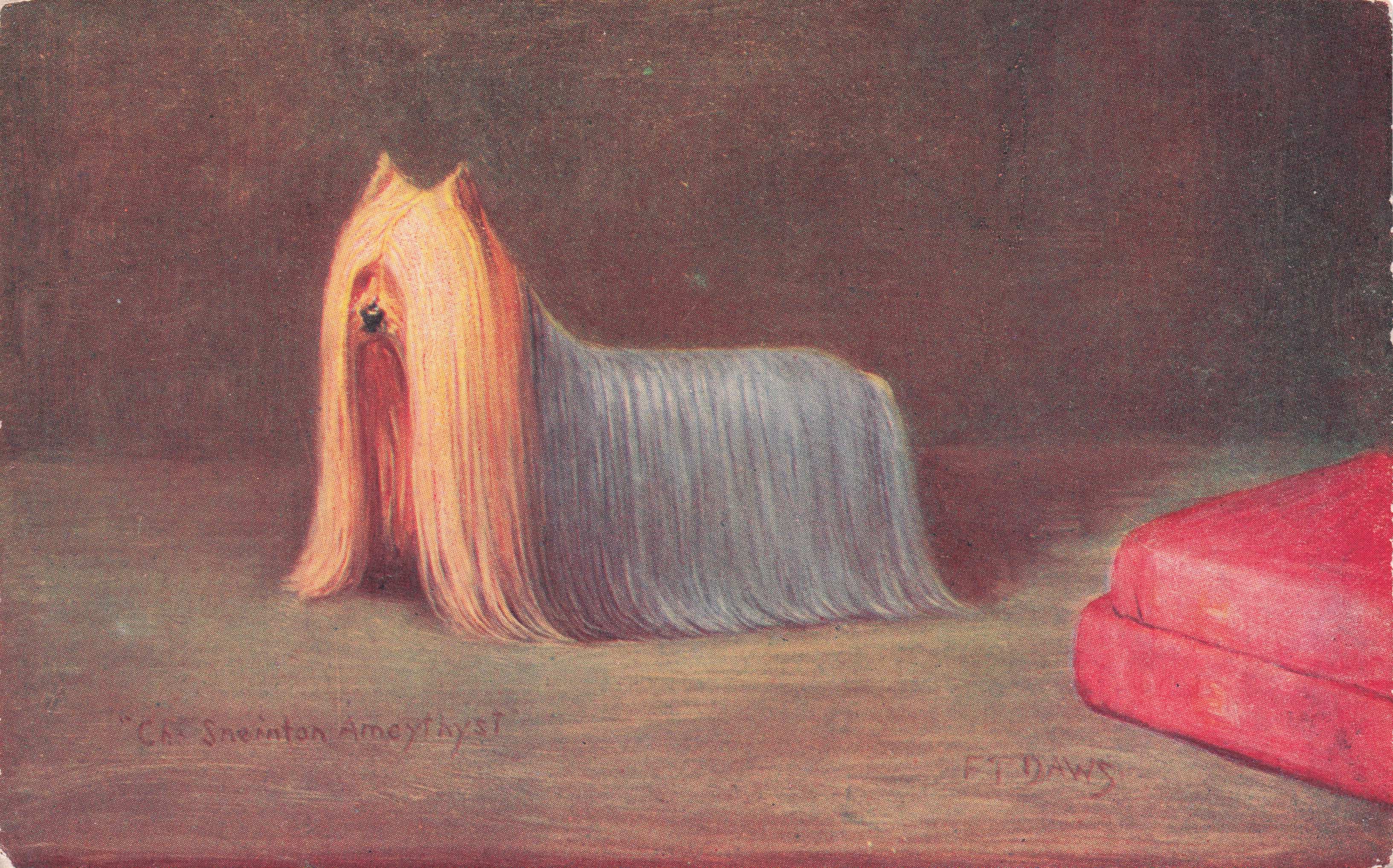 Yorkshire Terrier Spratts Food Old Champion Dog Breeding Antique Postcard