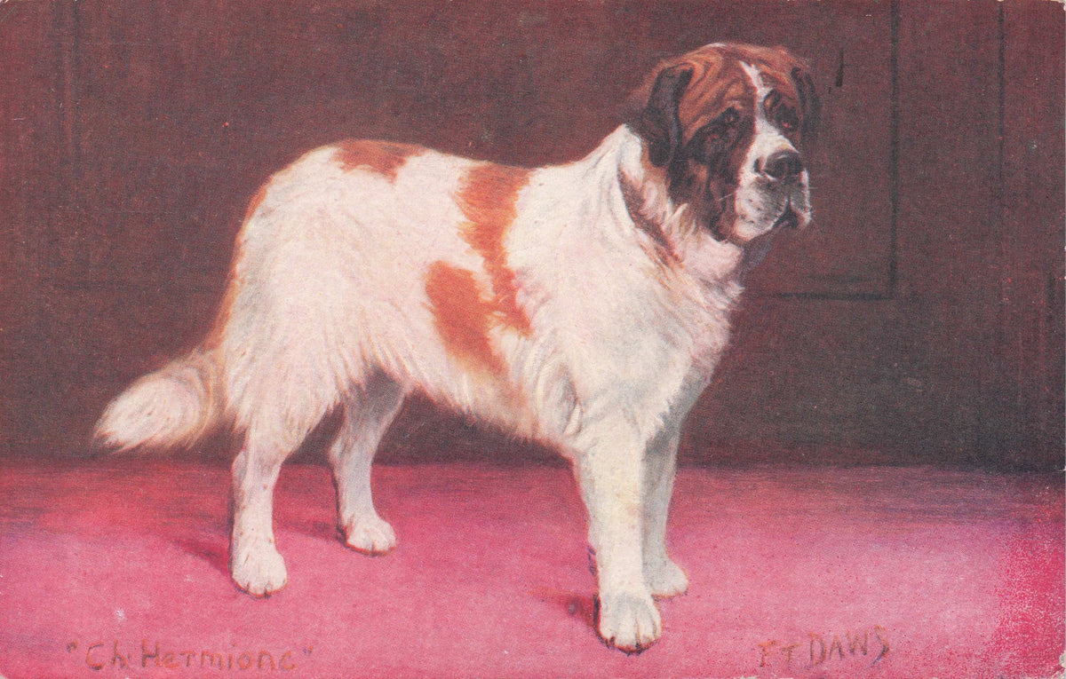Saint St Bernard Spratts Food Old Champion Dog Breeding Antique Postcard