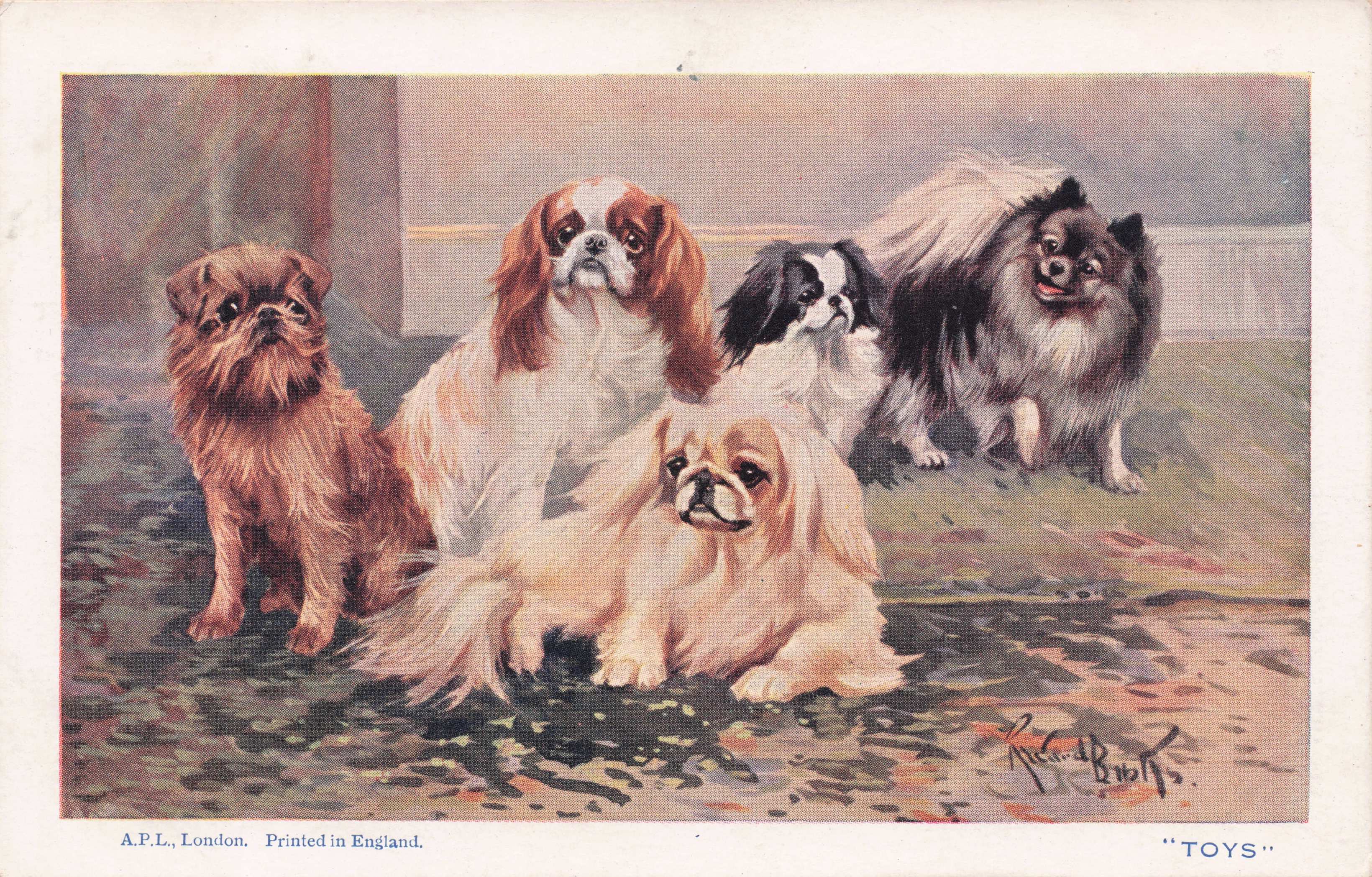 Toys Pomeranian Pug King Charles Spaniel Pekingese Spratts Old Dog Postcard