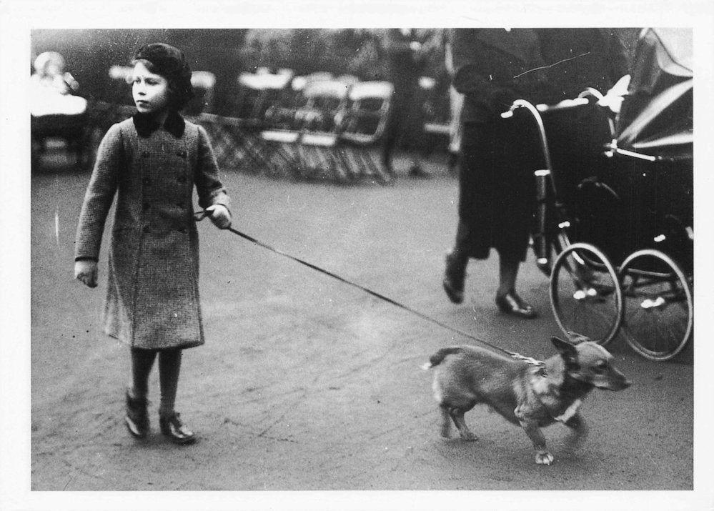 Queen Elizabeth II as Princess Hyde Park Walking Her Dog Worried Postcard