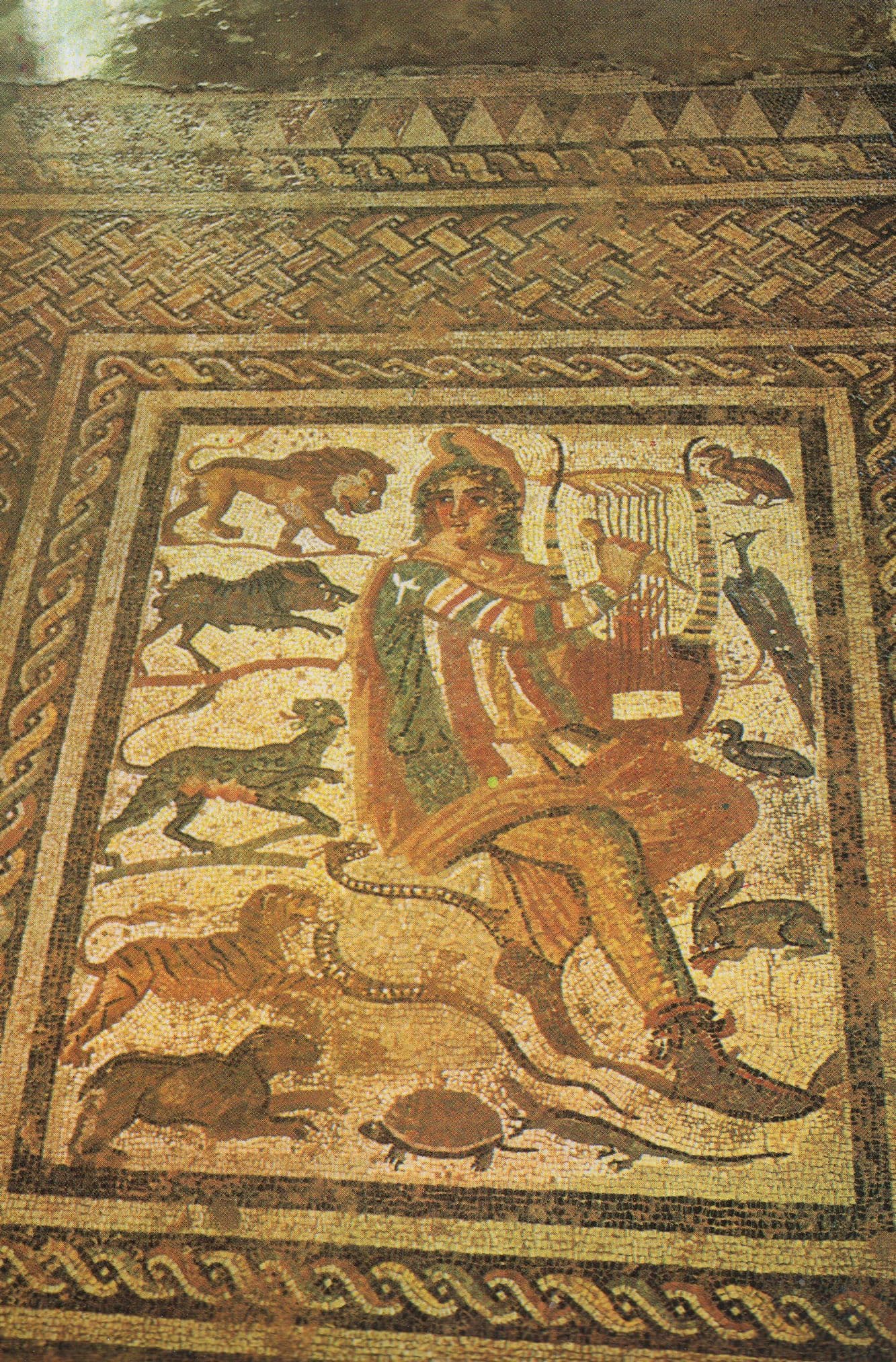 Spartan Mosaic Floor Orpheus Greek Greece Museum Postcard