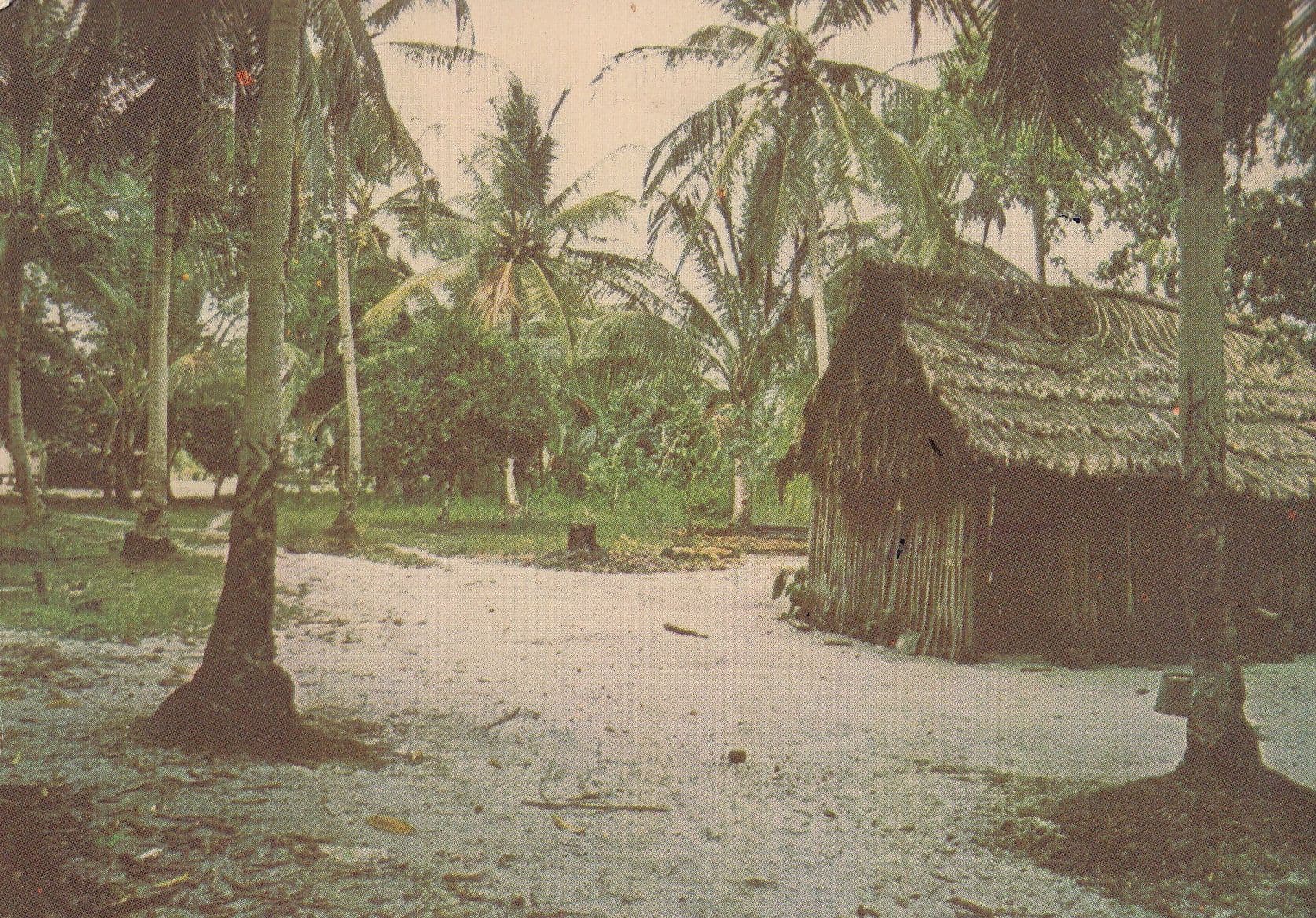 St Cuthberts Mahaica Creek Georgetown Guyana 1970a Postcard