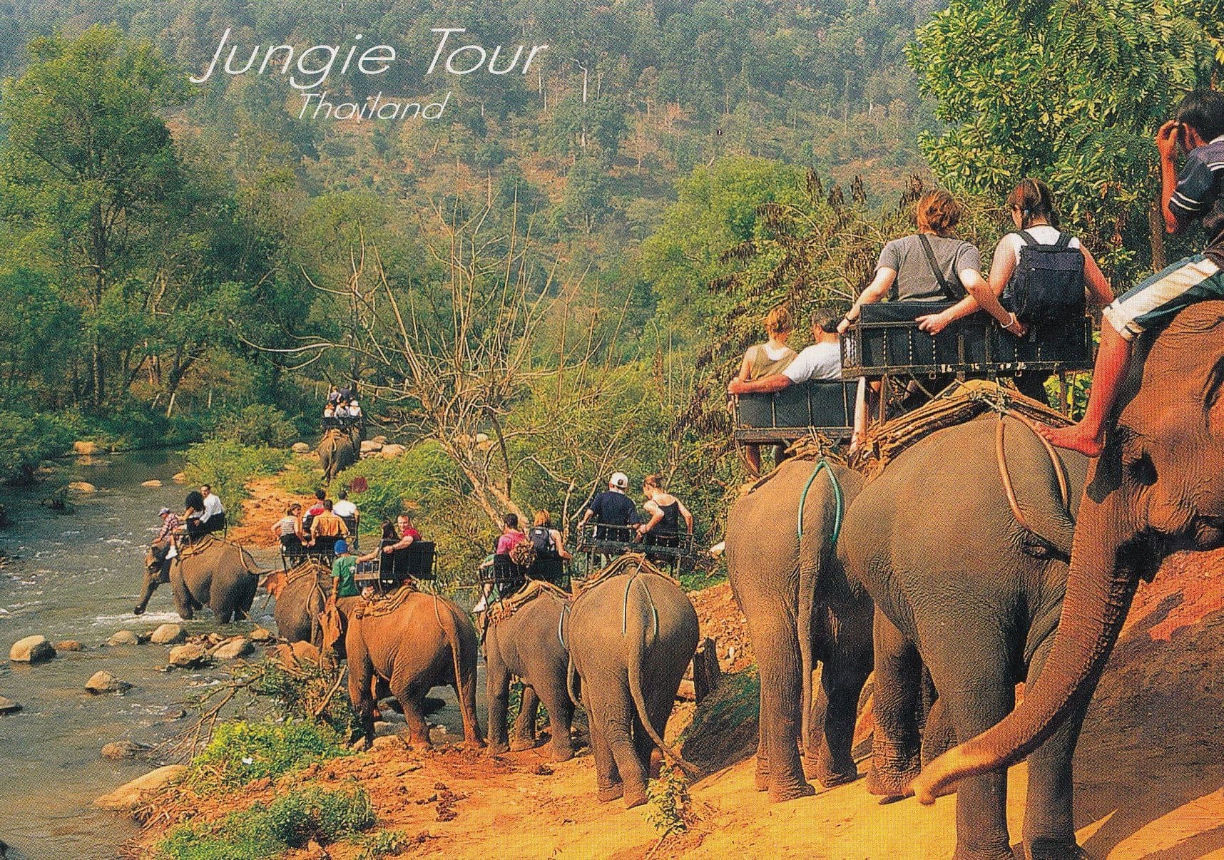 Thailand Jungle Tour 1959 Message From Elephant Ride Tourist Postcard
