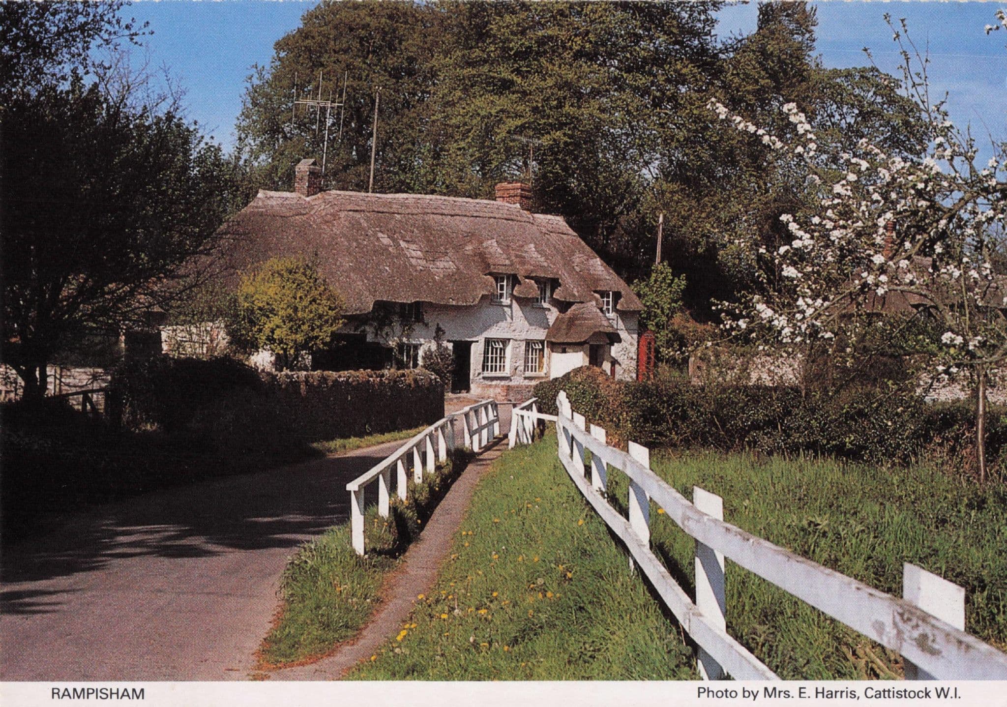 Thatched Cottage at Rampisham Dorset Women's Institute Postcard