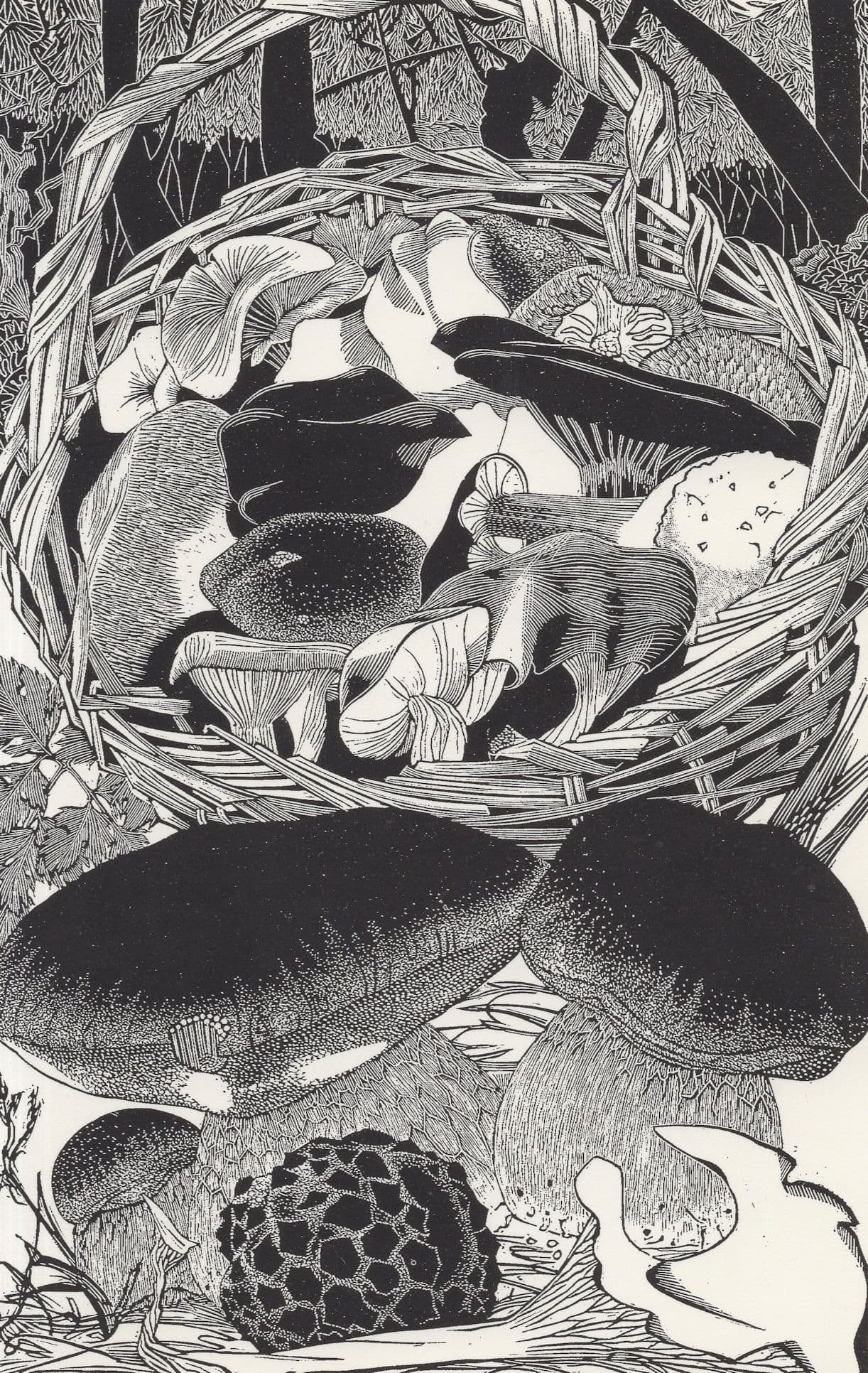 The AntiPasti Welsh Hippy Magic Mushroom Pub Wood Engraving Postcard