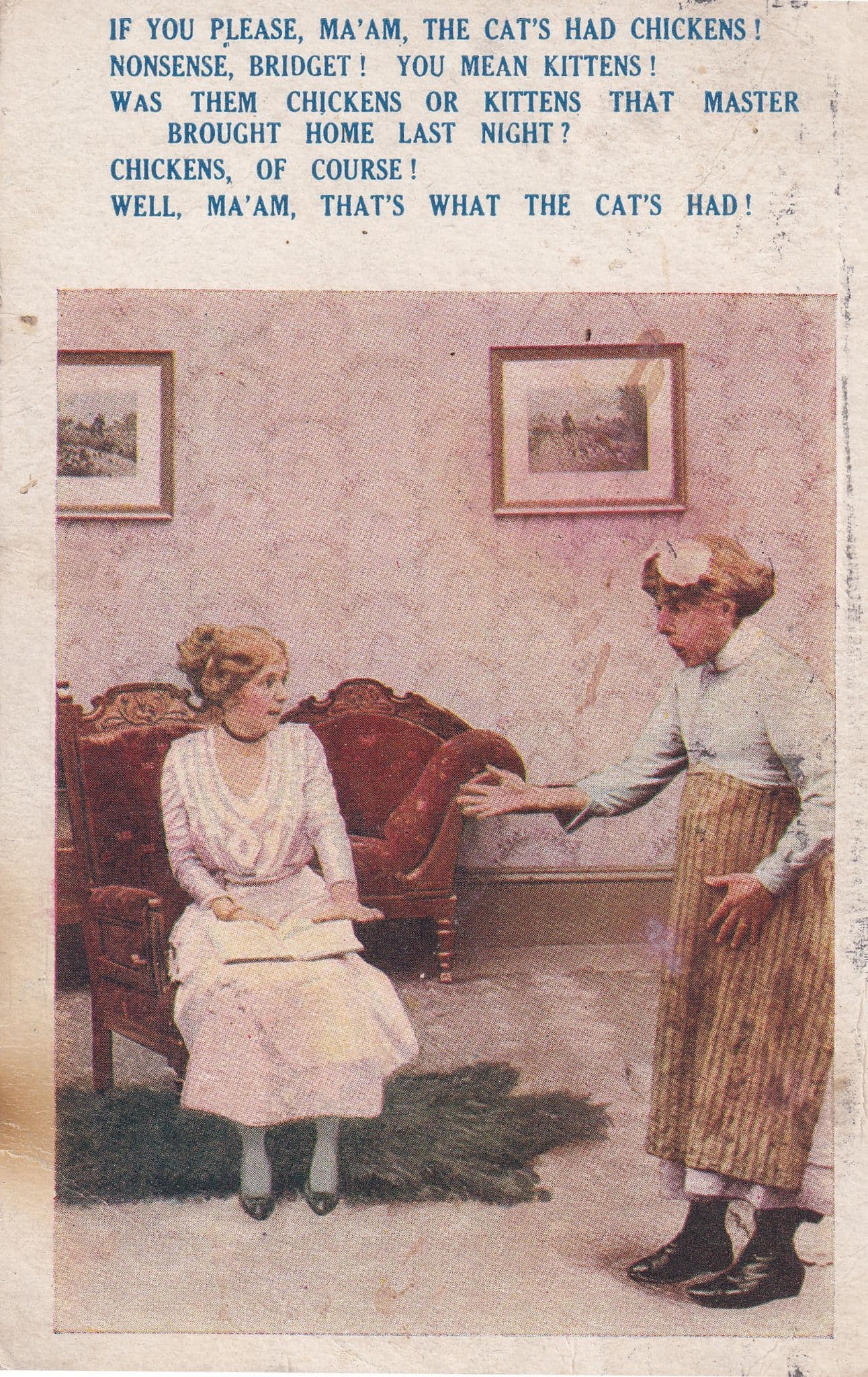 The Cats Breeding Chickens Birds Old Comic Humour Postcard
