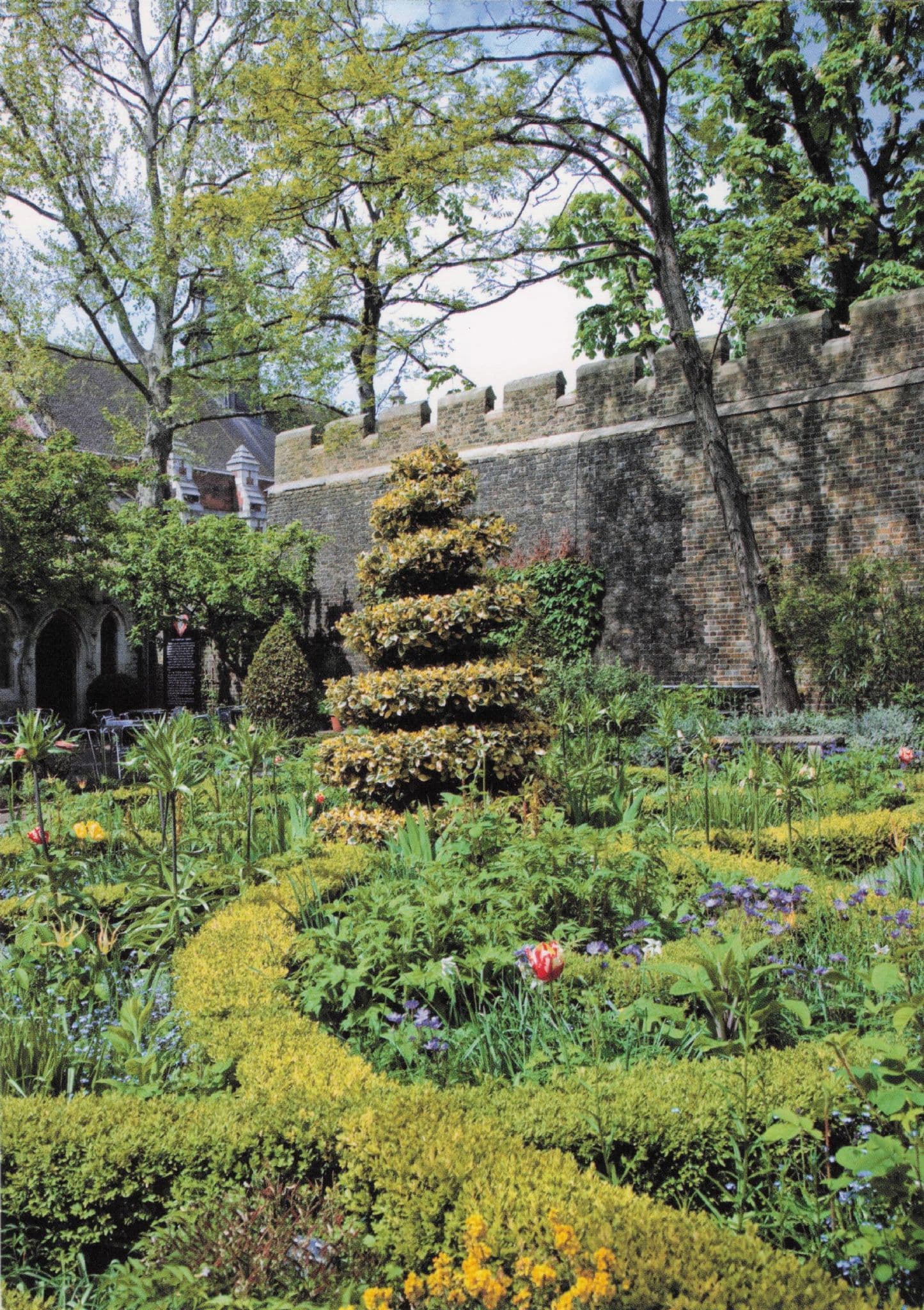 The Garden Museum Palace Lambeth Palace Road London Photo Postcard