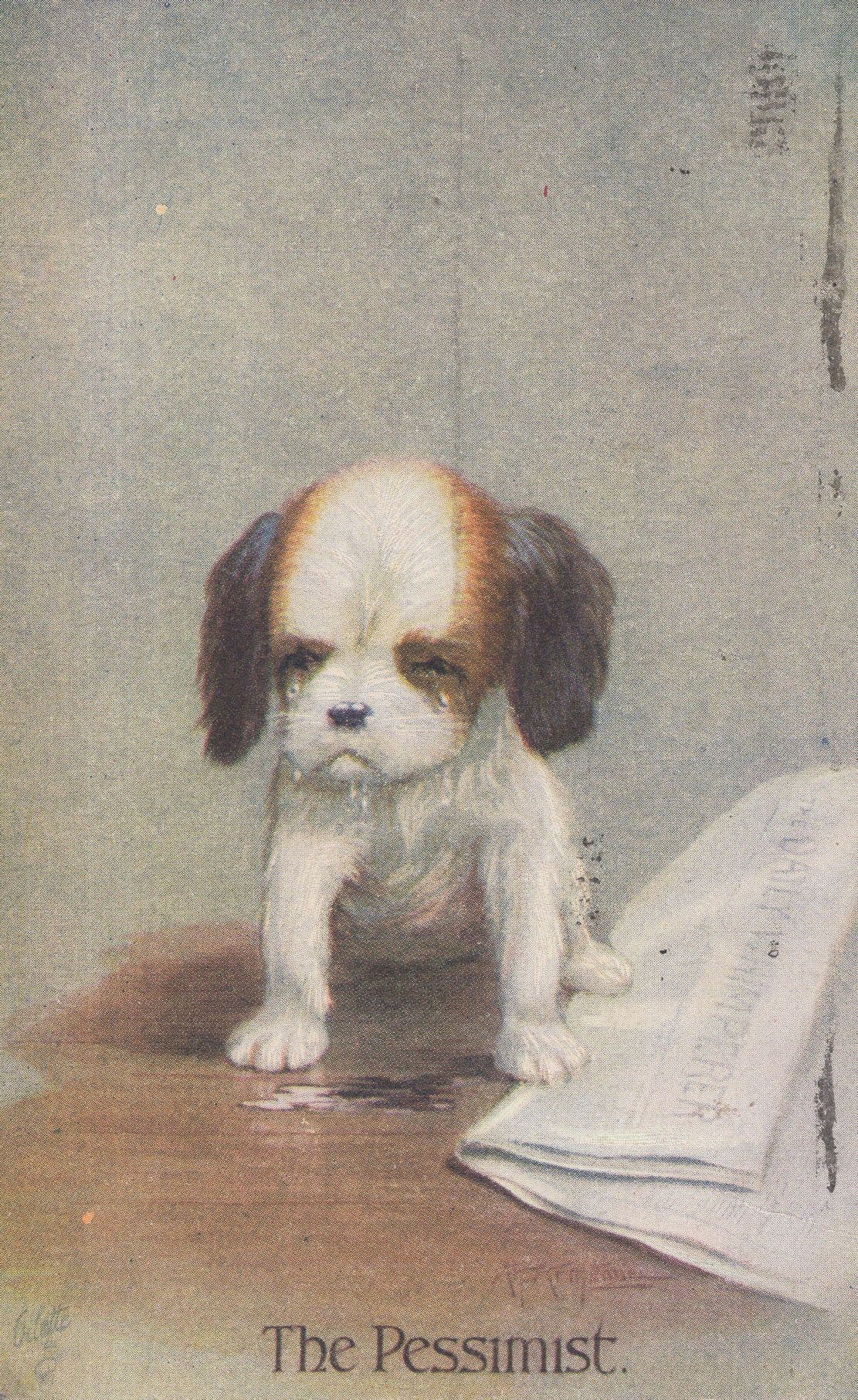 The Pessimist Grumpy Dog & Newspaper Tucks Comic Dogs Postcard