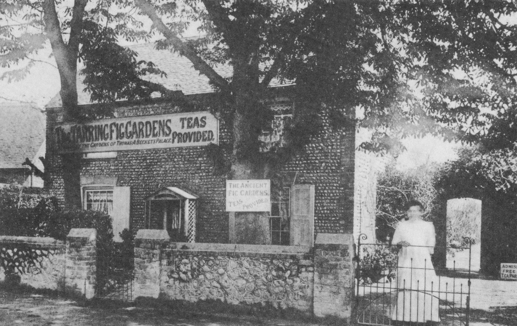 Fig Tree Gardens South Street Tarring Sussex Postcard
