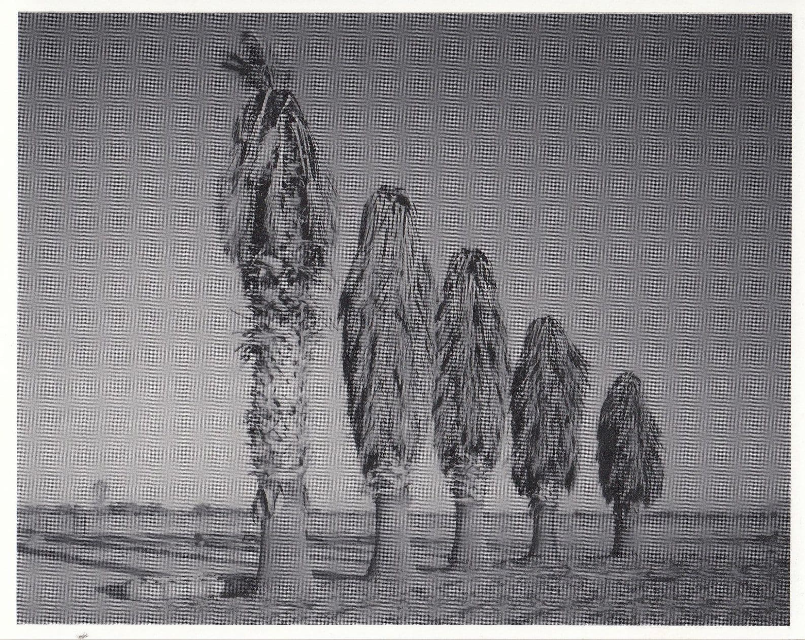 Trees Of Haircuts Giant Tribal Hair Fashions Unique Photo Postcard