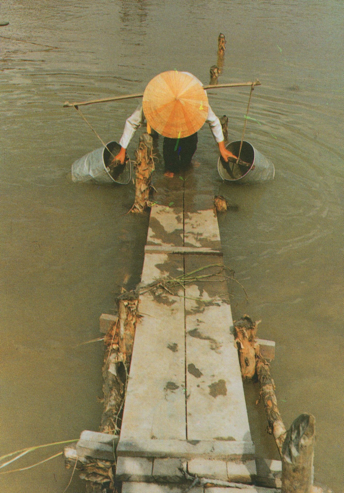 Vietnam Water Carrier Asian Postcard