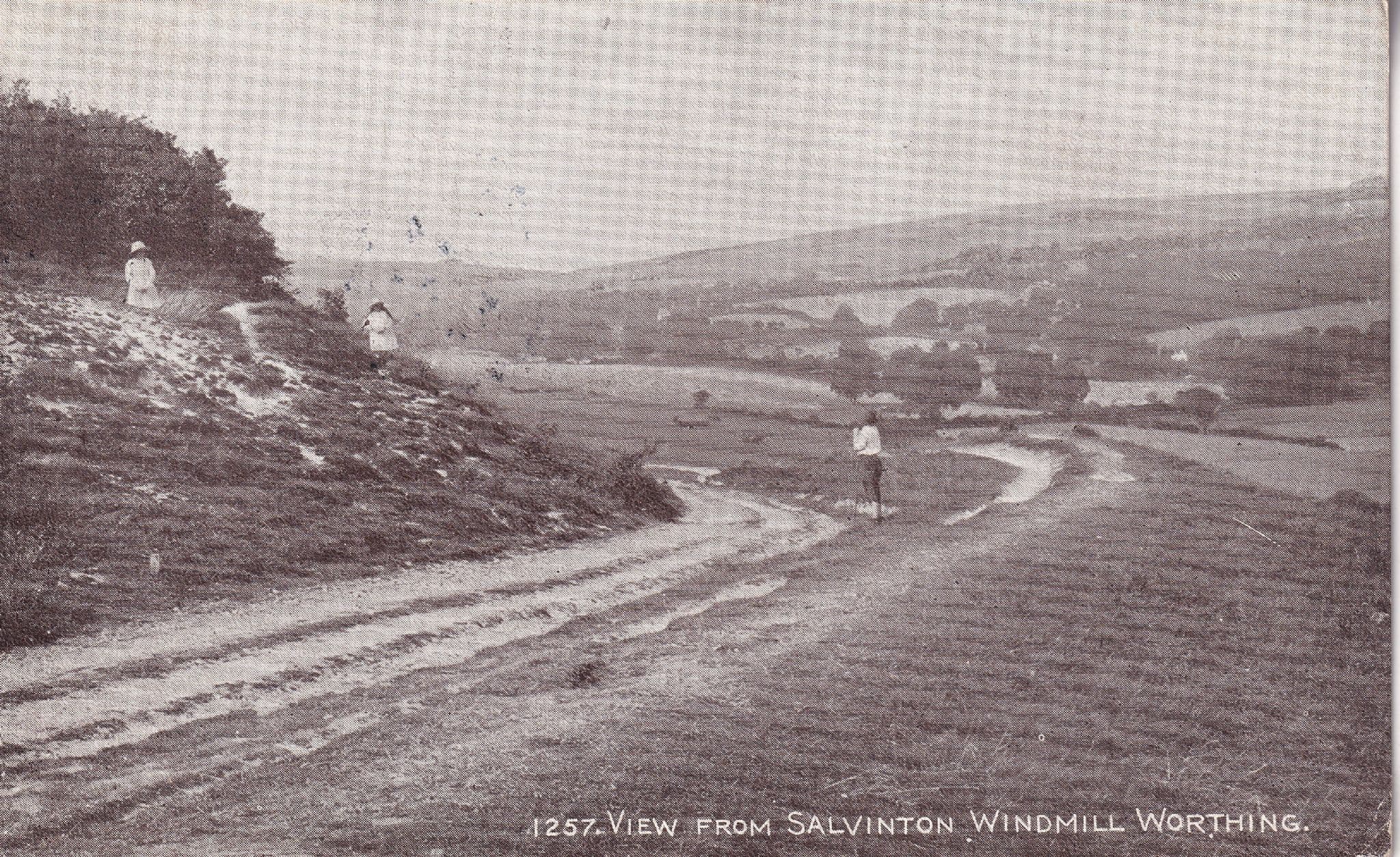 View From Salvinton Windmill Worthing Sussex Postcard