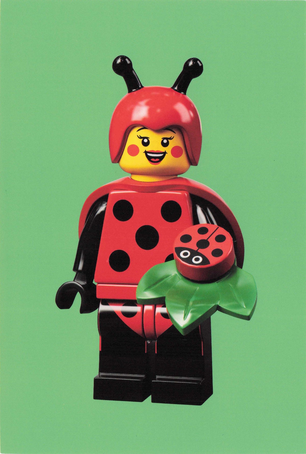 Ladybird Man Woman In Cute Toy Insect Fancy Dress Suit Quotation Postcrd