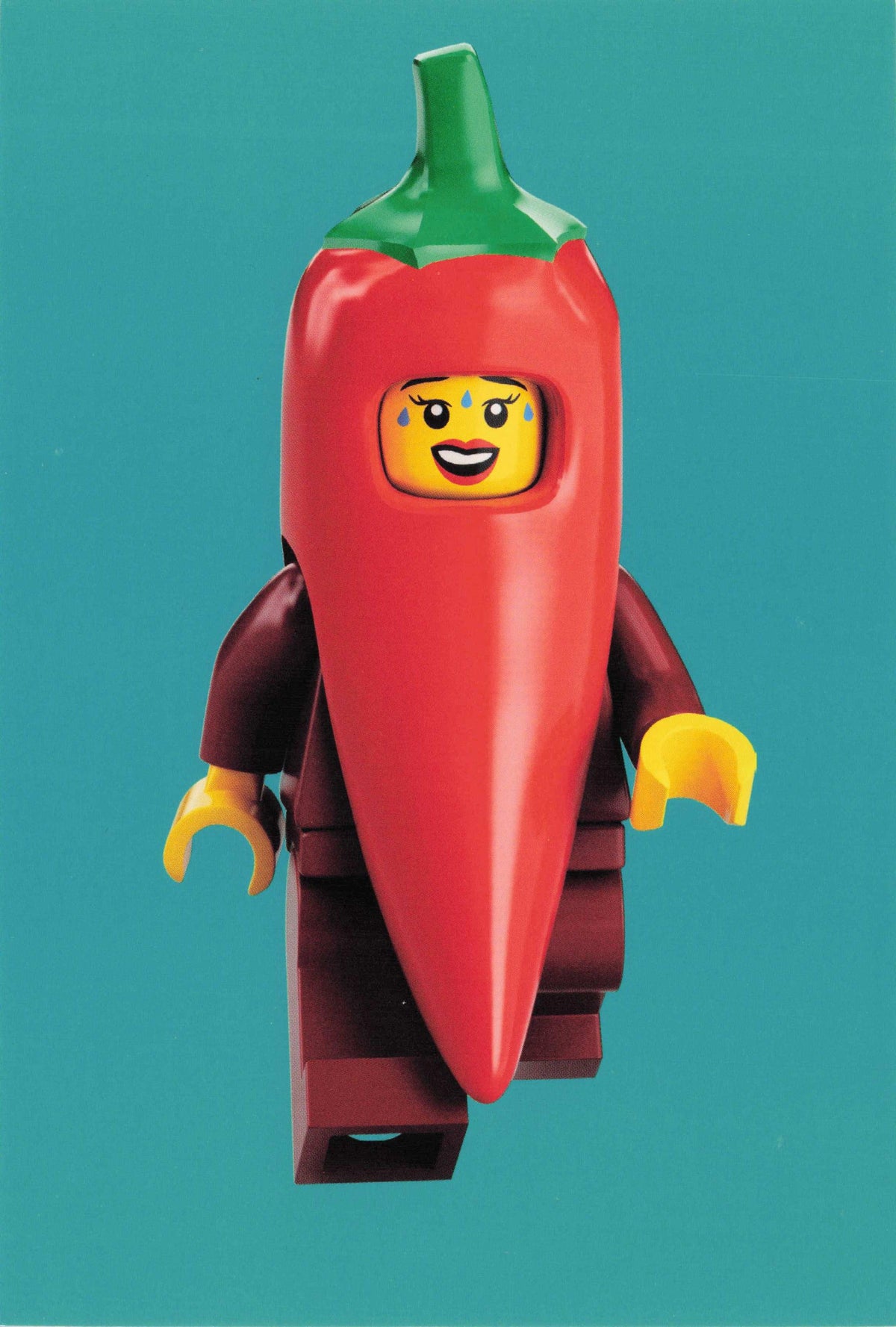 Red Hot Chili Peppers Spice Food Man Fancy Dress Suit Lego Quotation Postcard