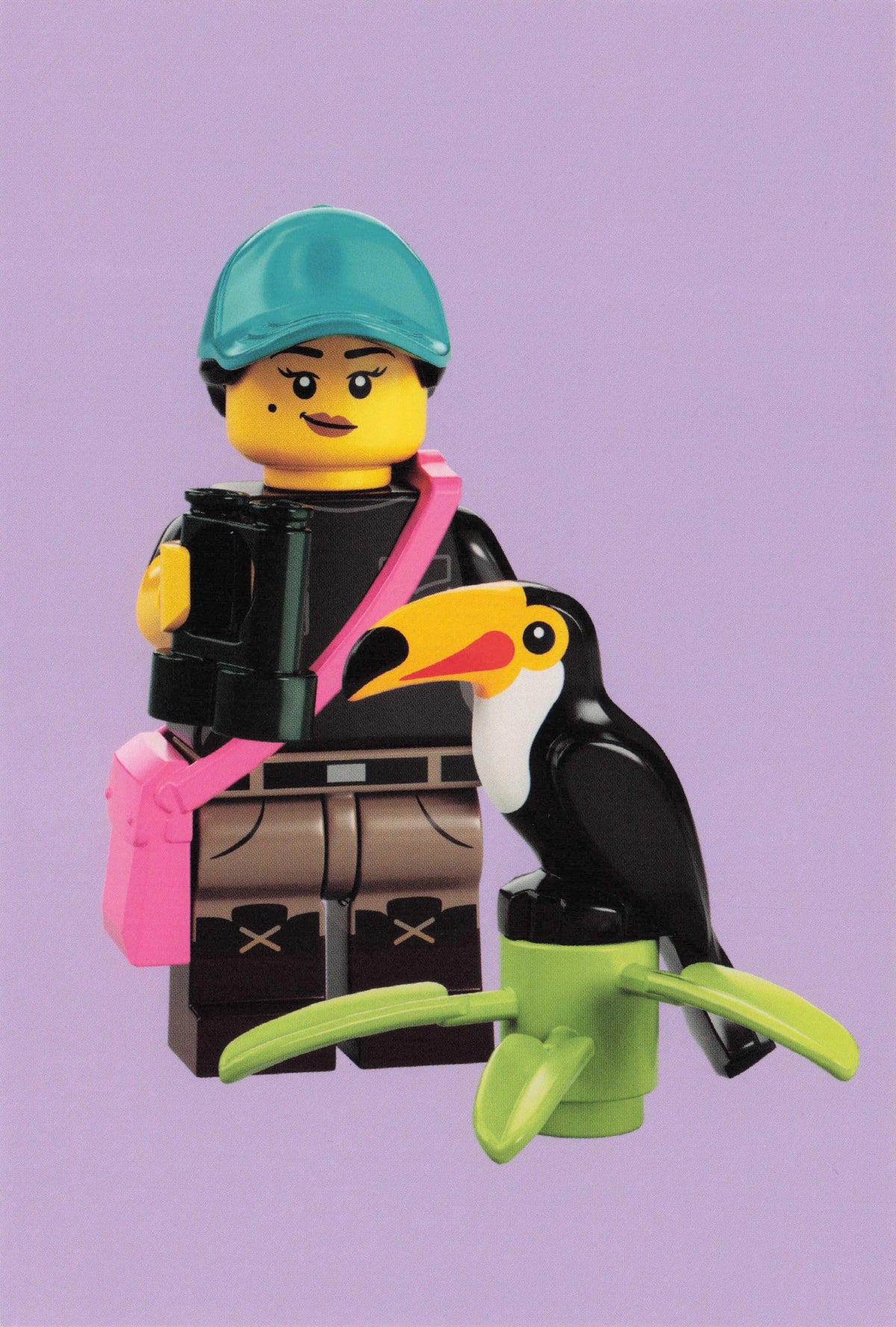 Bird Watcher & Toy Toucan Puffin Lego Model Ornithologist Quotation Postcard