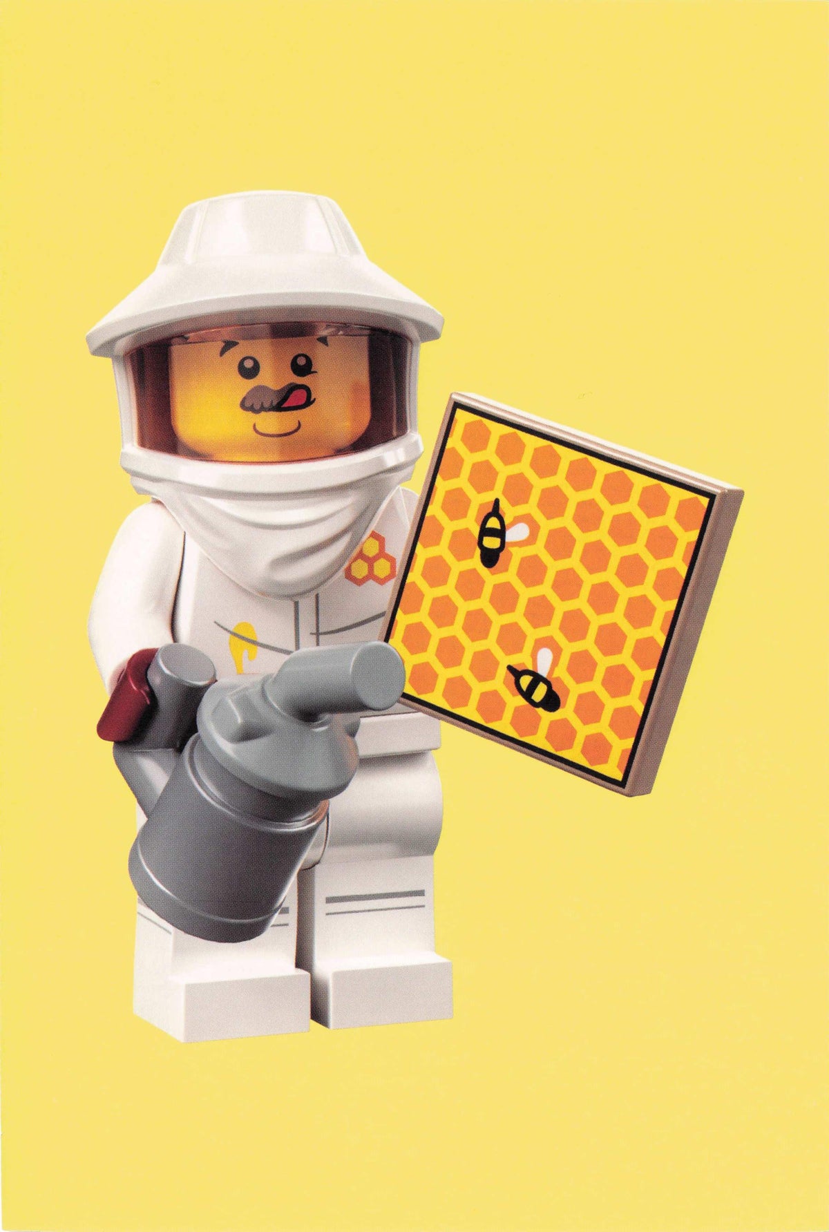 Bee Keeper Bumble Bees Toy Nest Suit Mesh Hive Smoker Quotation Postcard